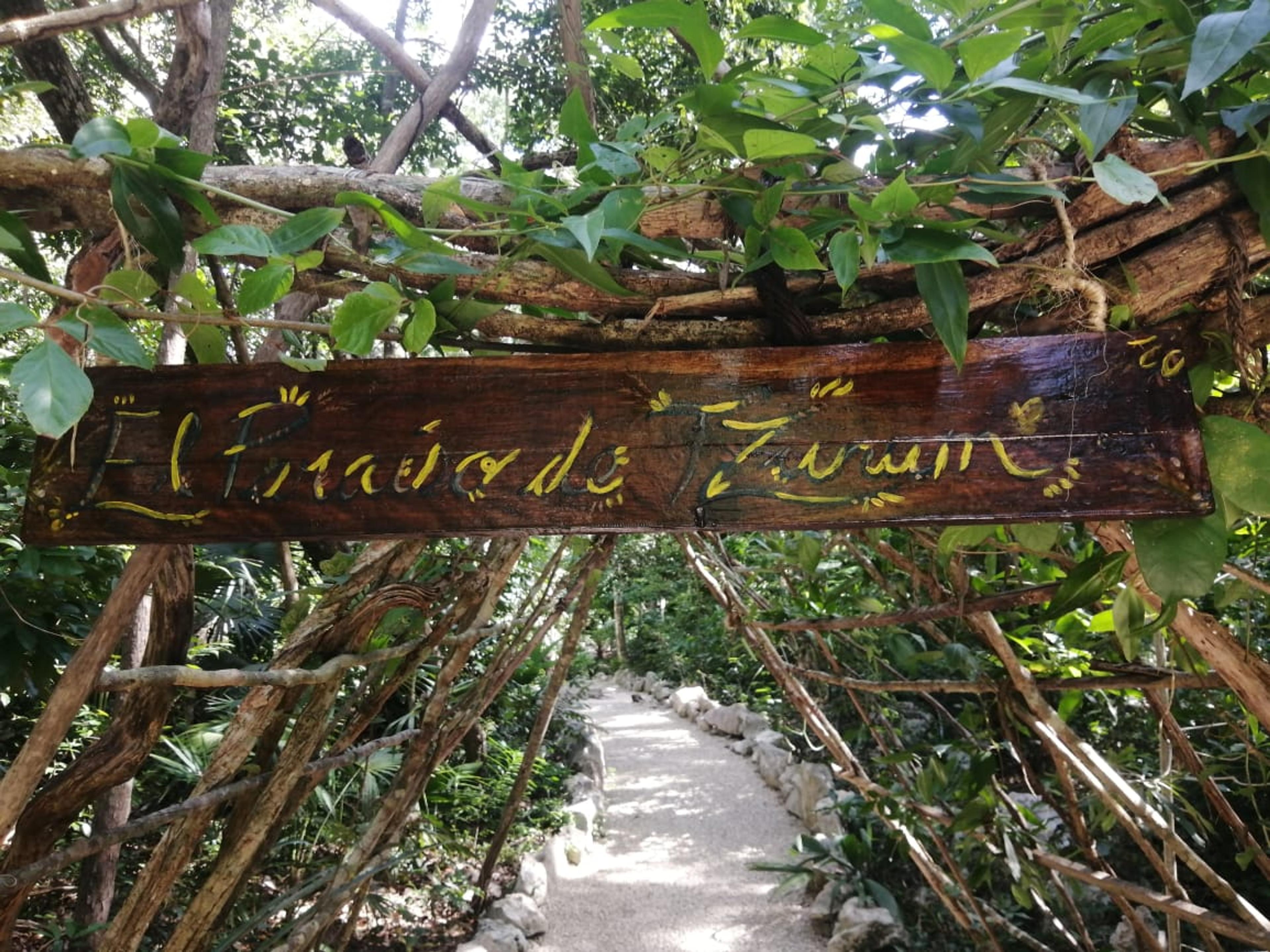 Tulum’s Hidden Gem: Expansive Eco-Investment with 4 Wooden Homes — photo 2