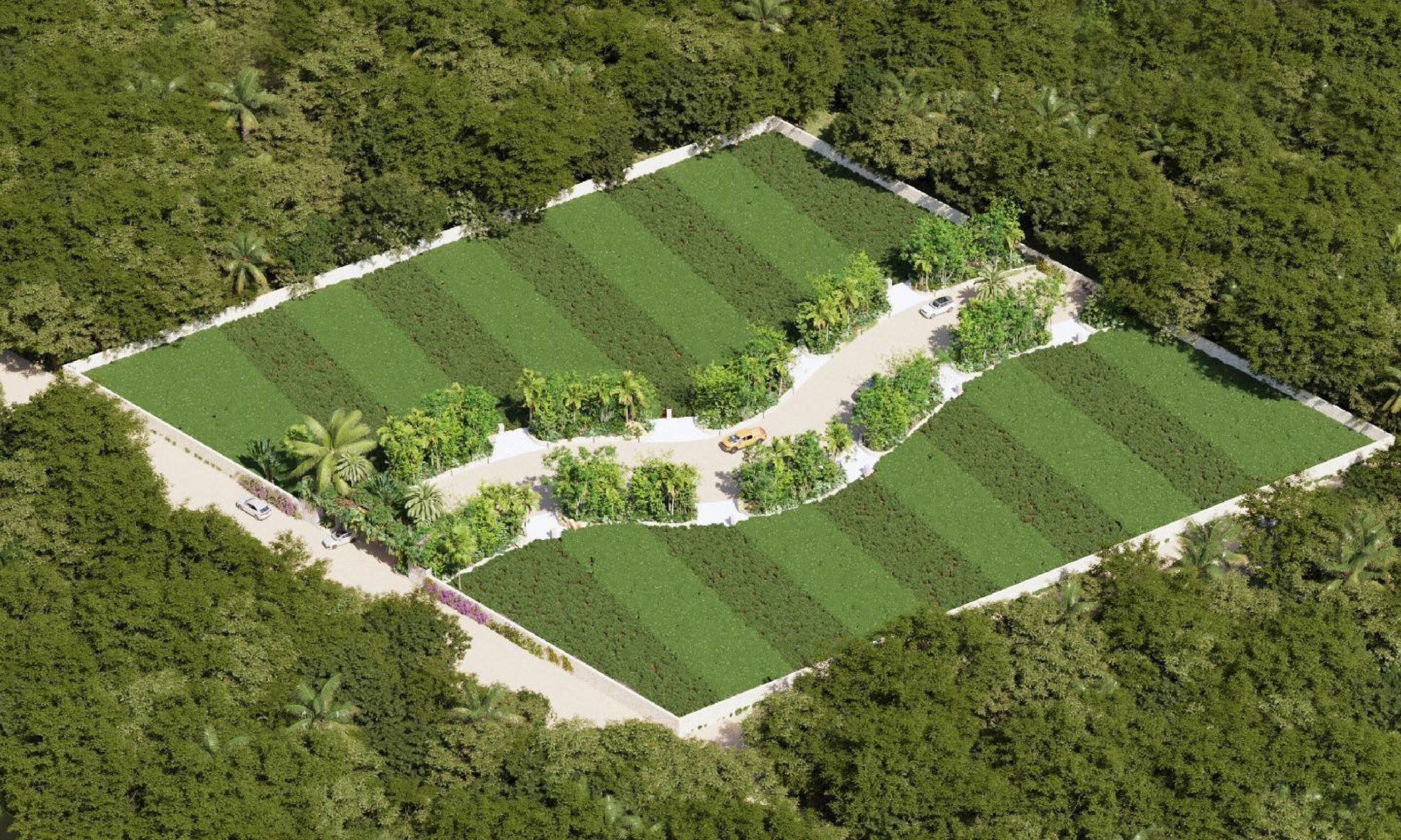 Premium Residential Lots 1km from the Beach — photo 12