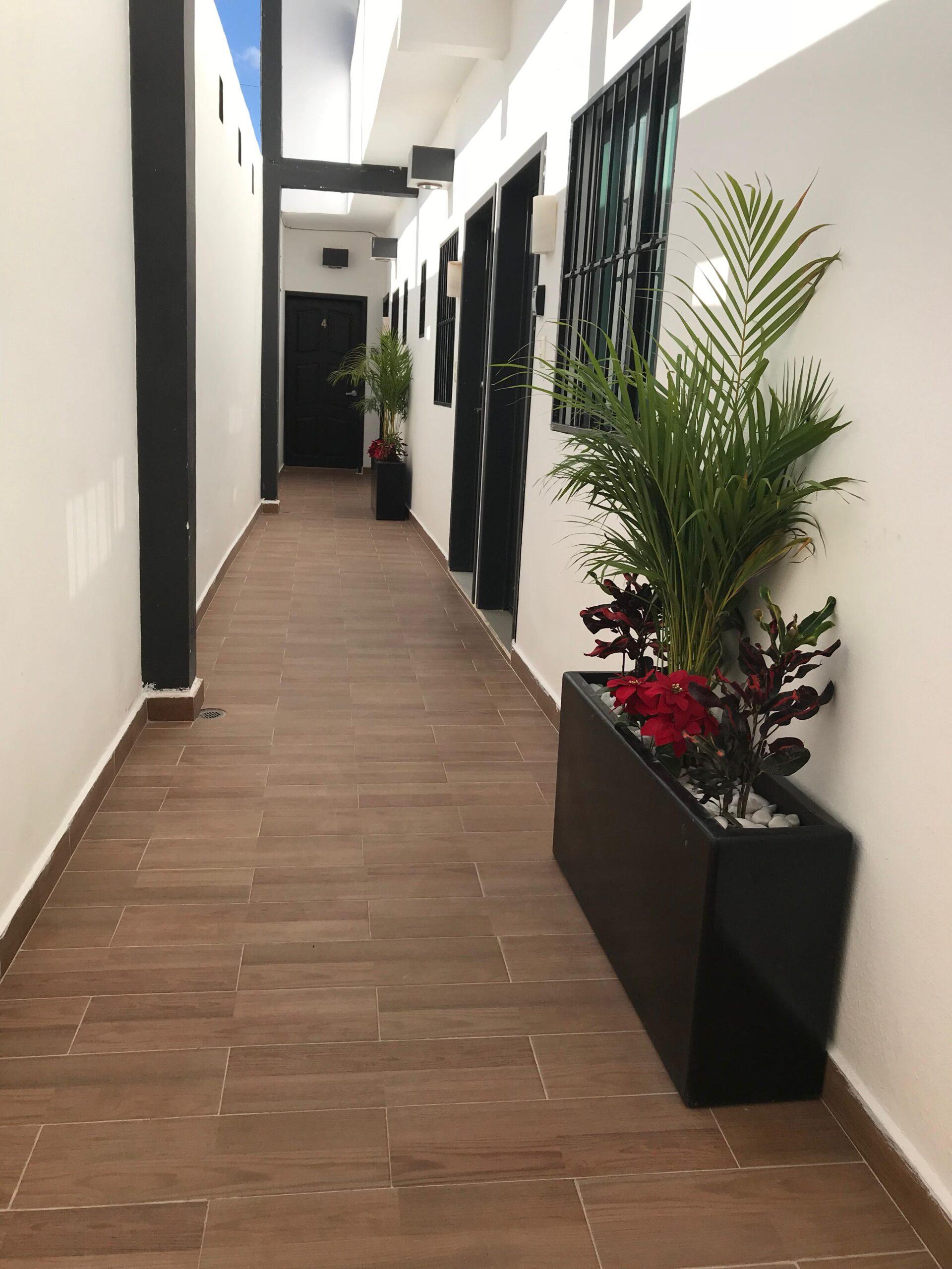 Multifamily Building with Commercial Space in Colosio — photo 9
