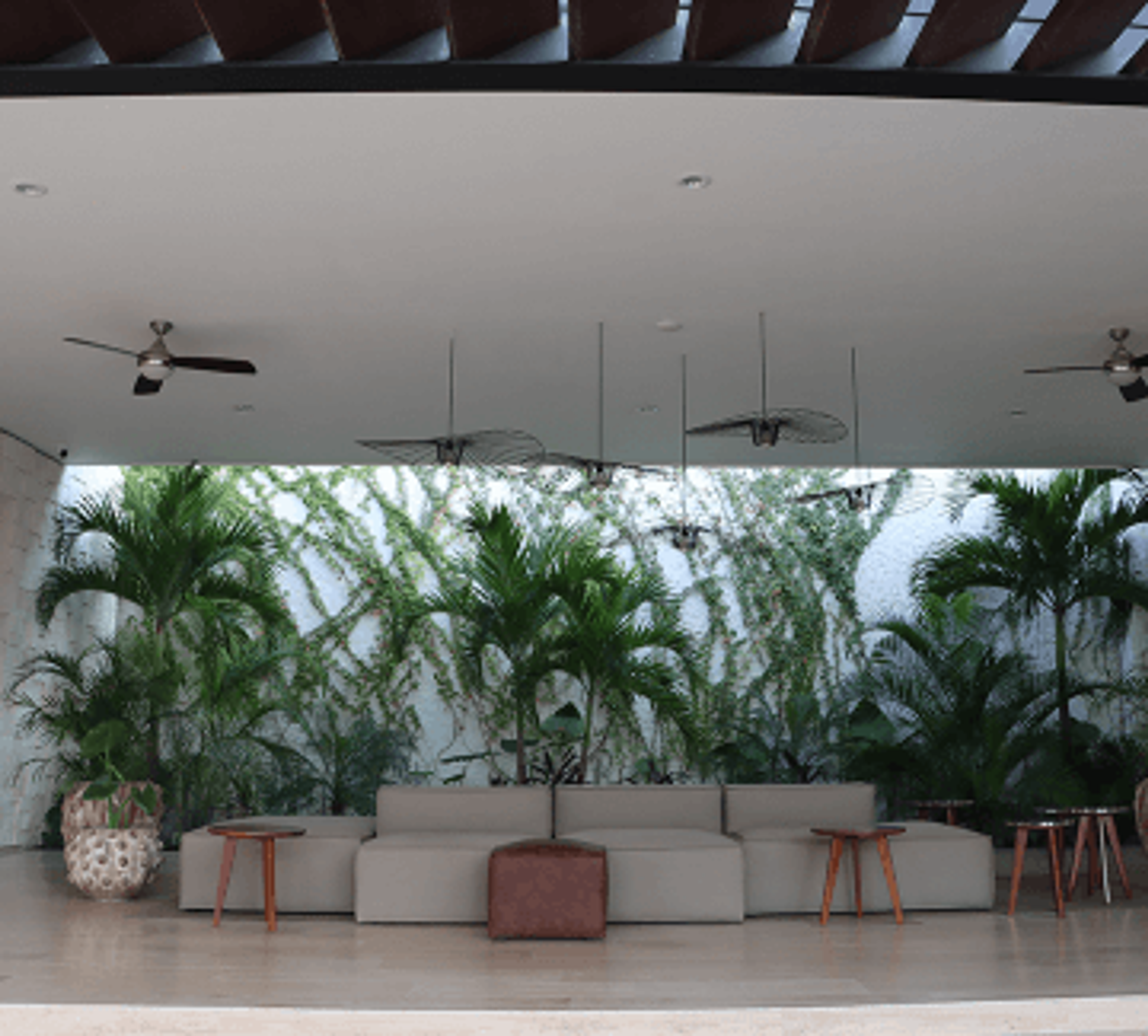 Land in Valenia Residential – Exclusive Opportunity in Playa del Carmen — photo 11