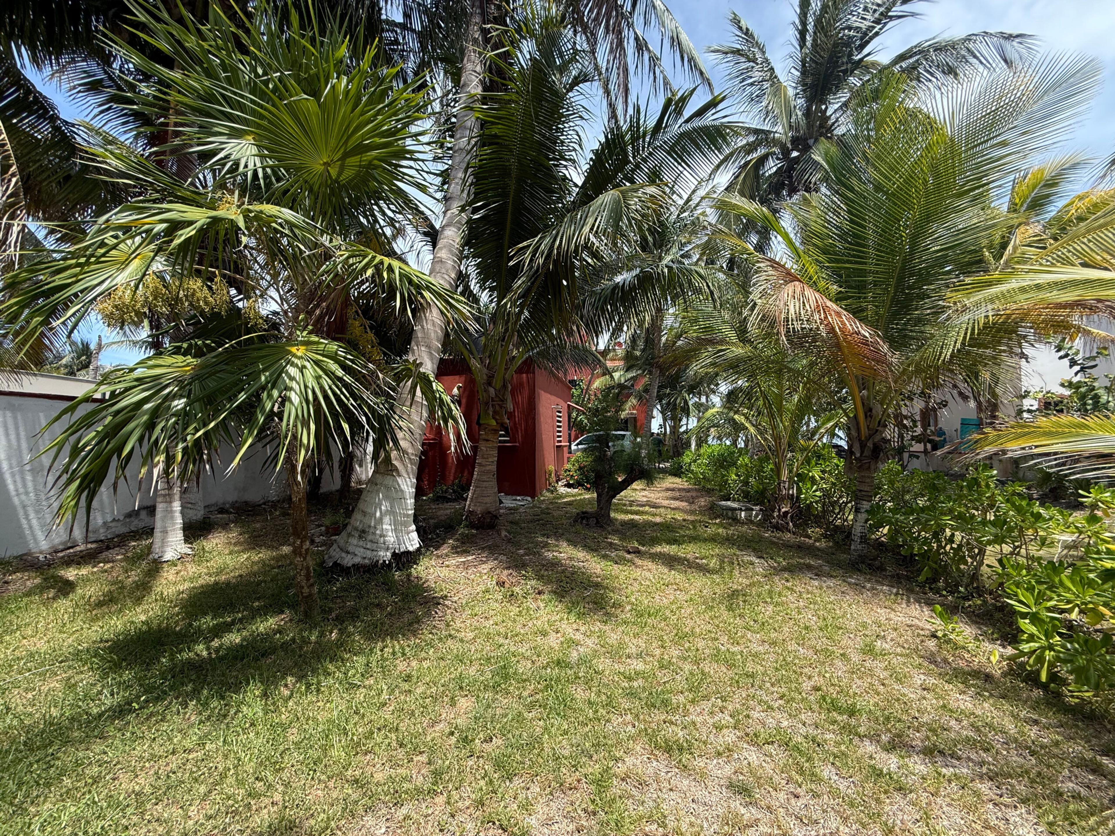 Charming Beachfront Home with Guest Casita — photo 11