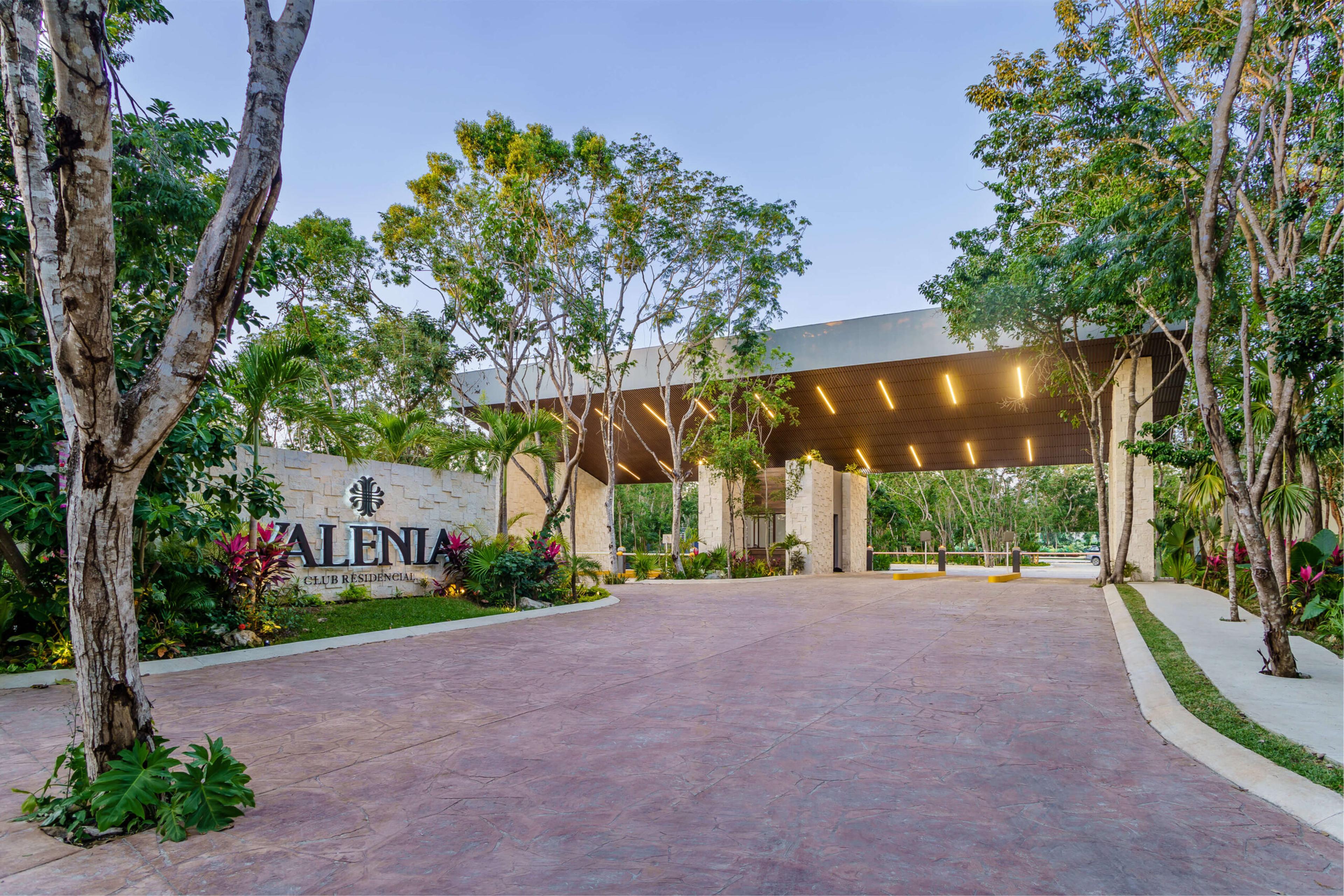 Land in Valenia Residential – Exclusive Opportunity in Playa del Carmen — photo 5