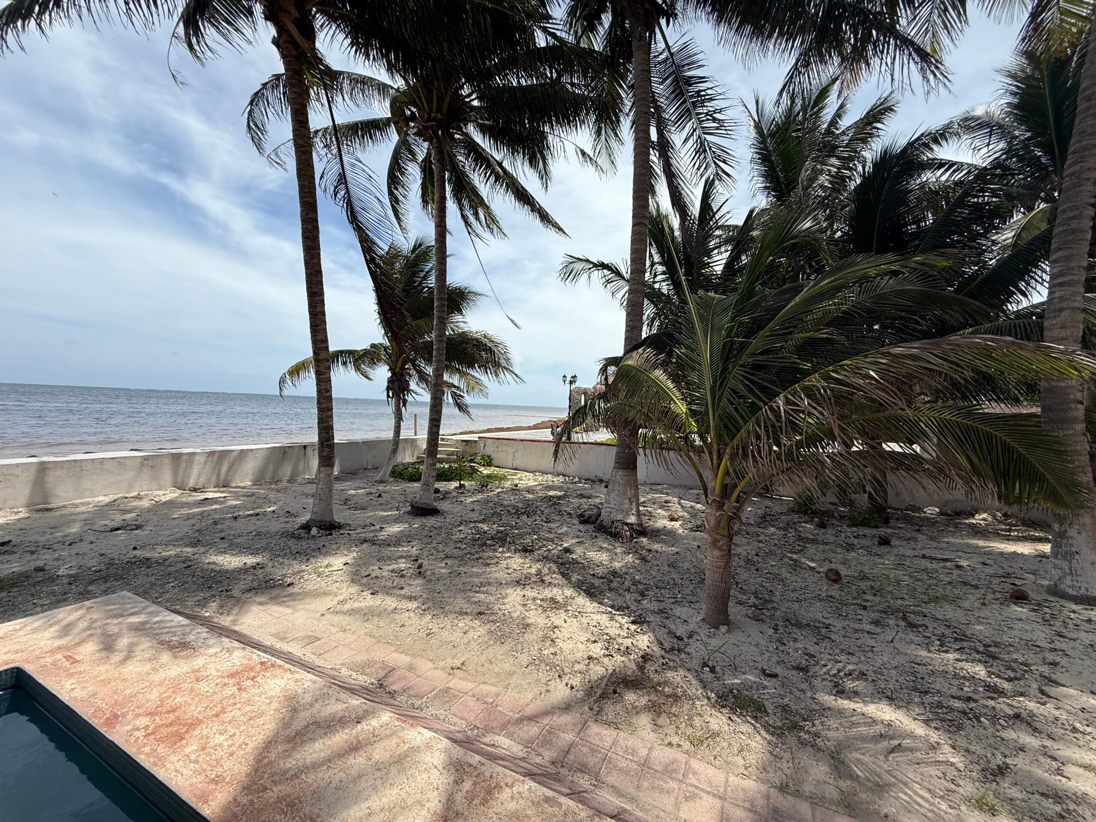 Prime Oceanfront Lot in Puerto Morelos — photo 5