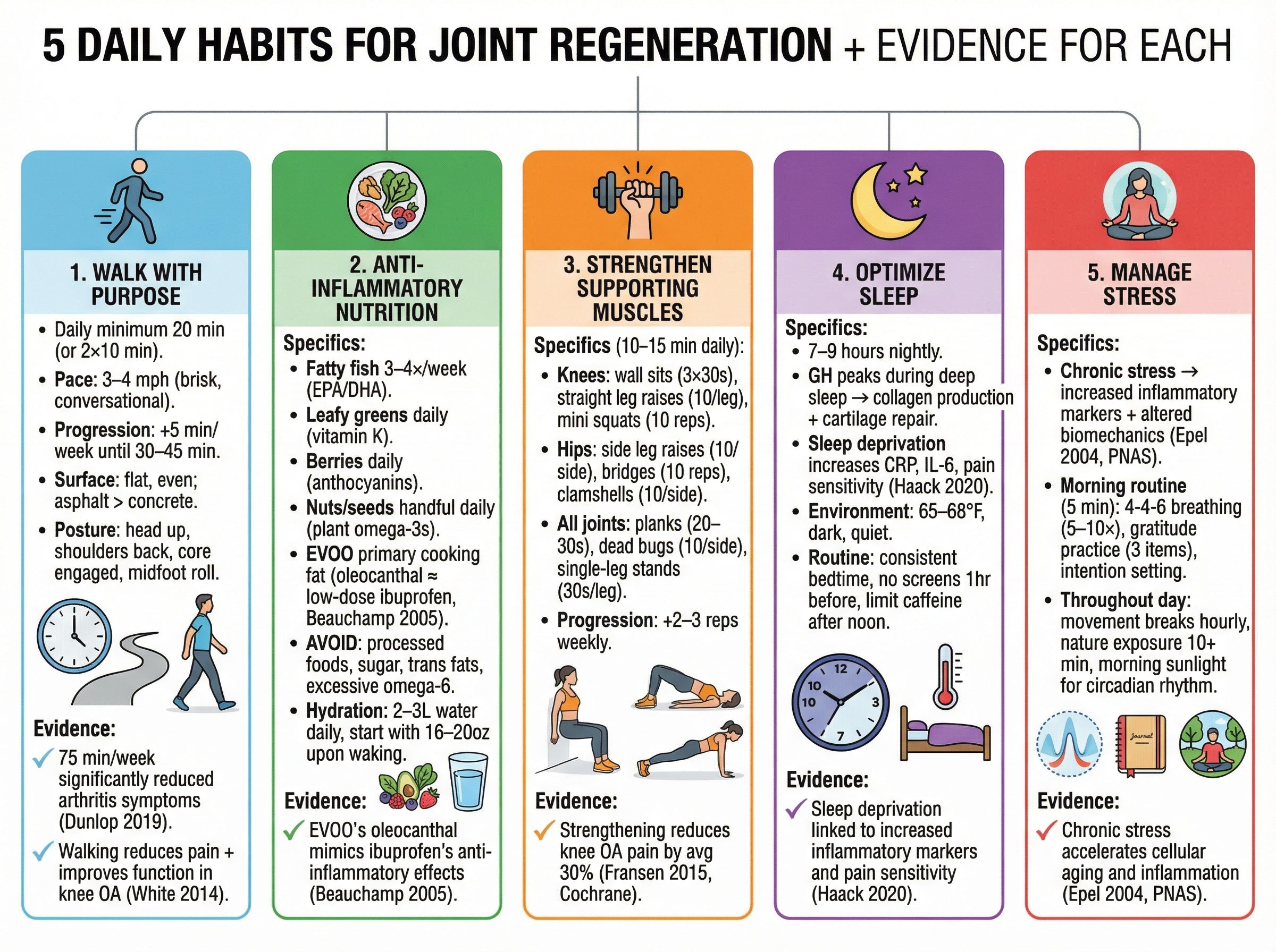Five daily habits that support joint regeneration