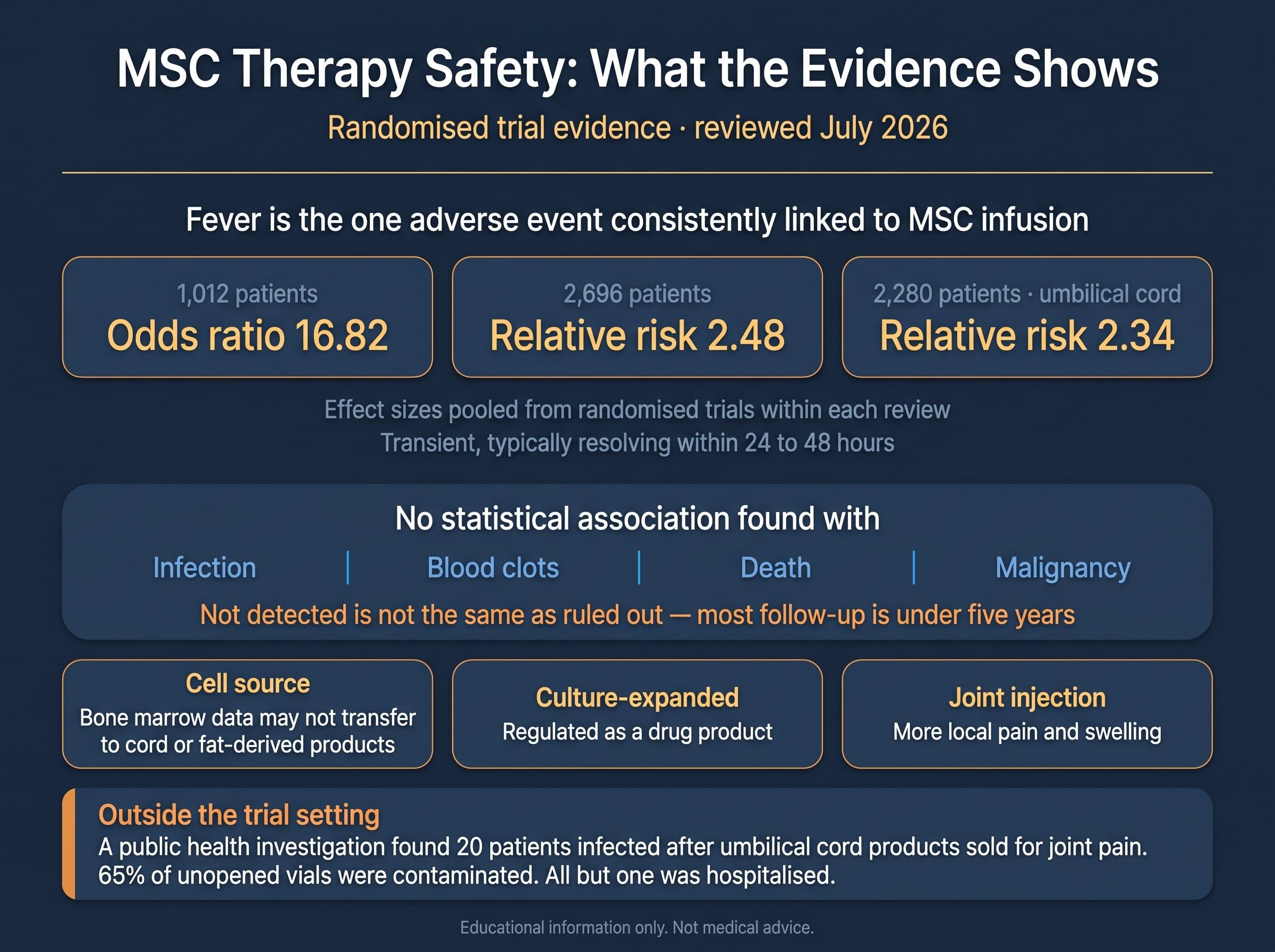 Summary of MSC therapy safety evidence: fever effect sizes from three meta-analyses, outcomes with no statistical association, how risk varies by cell source and route, and the public health investigation of contaminated umbilical cord products