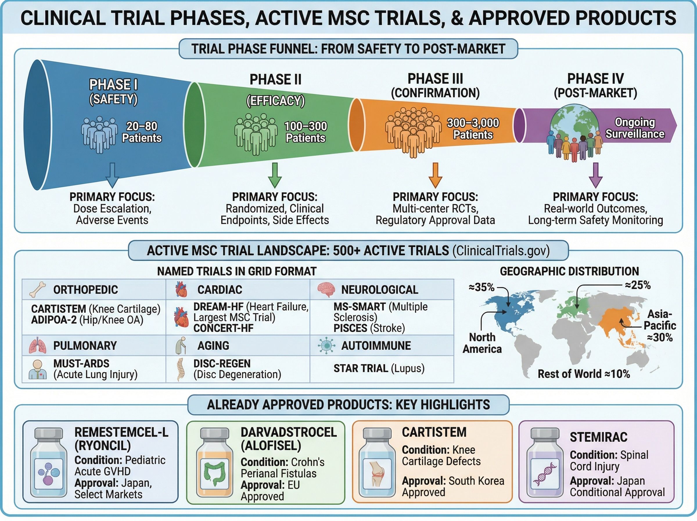 Infographic explaining clinical trial phases I through IV