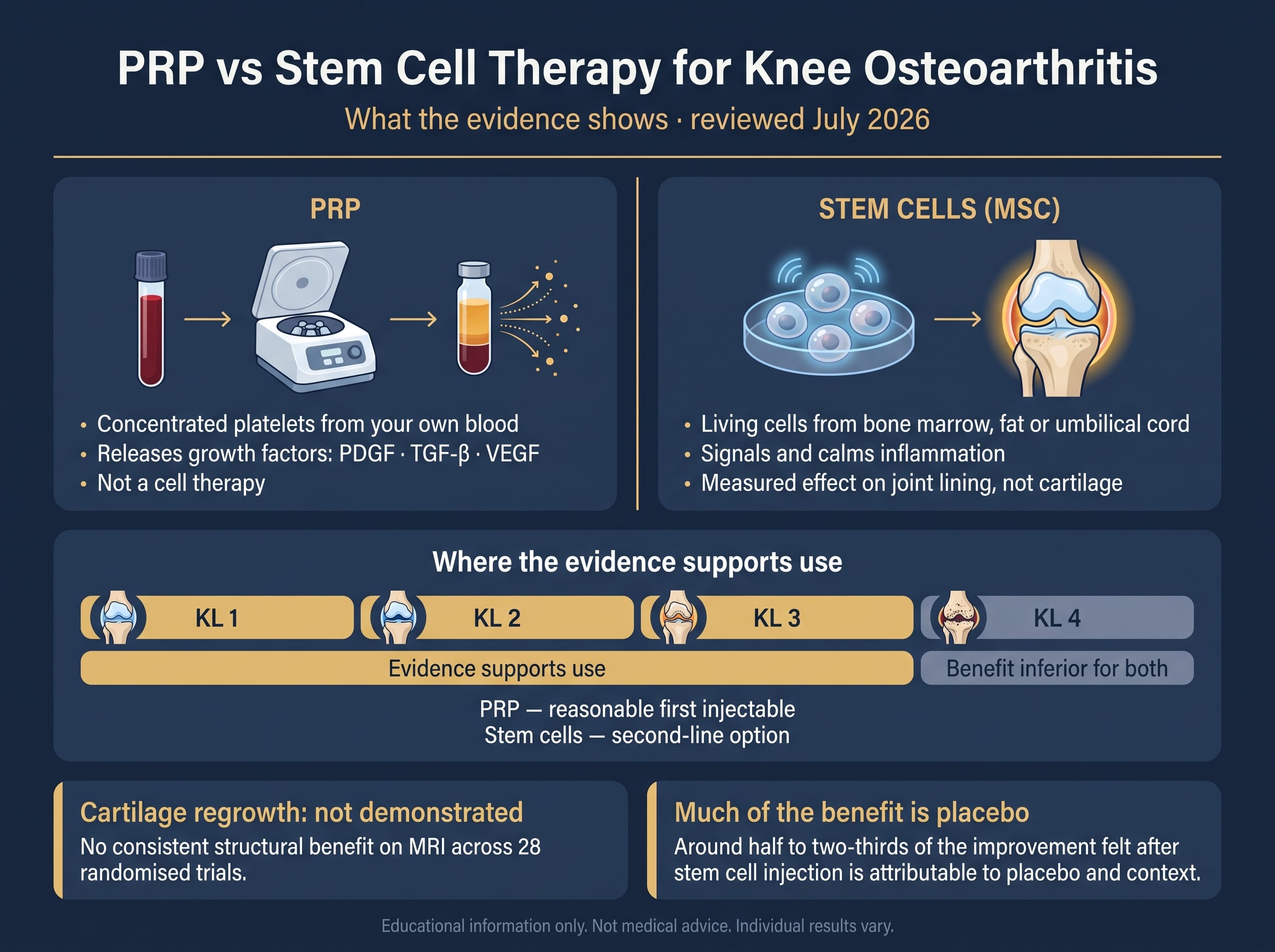 Infographic comparing PRP and stem cell therapy for knee osteoarthritis: mechanism of each, the Kellgren-Lawrence grades where evidence supports use, and two findings — cartilage regrowth not demonstrated, and much of the benefit attributable to placebo