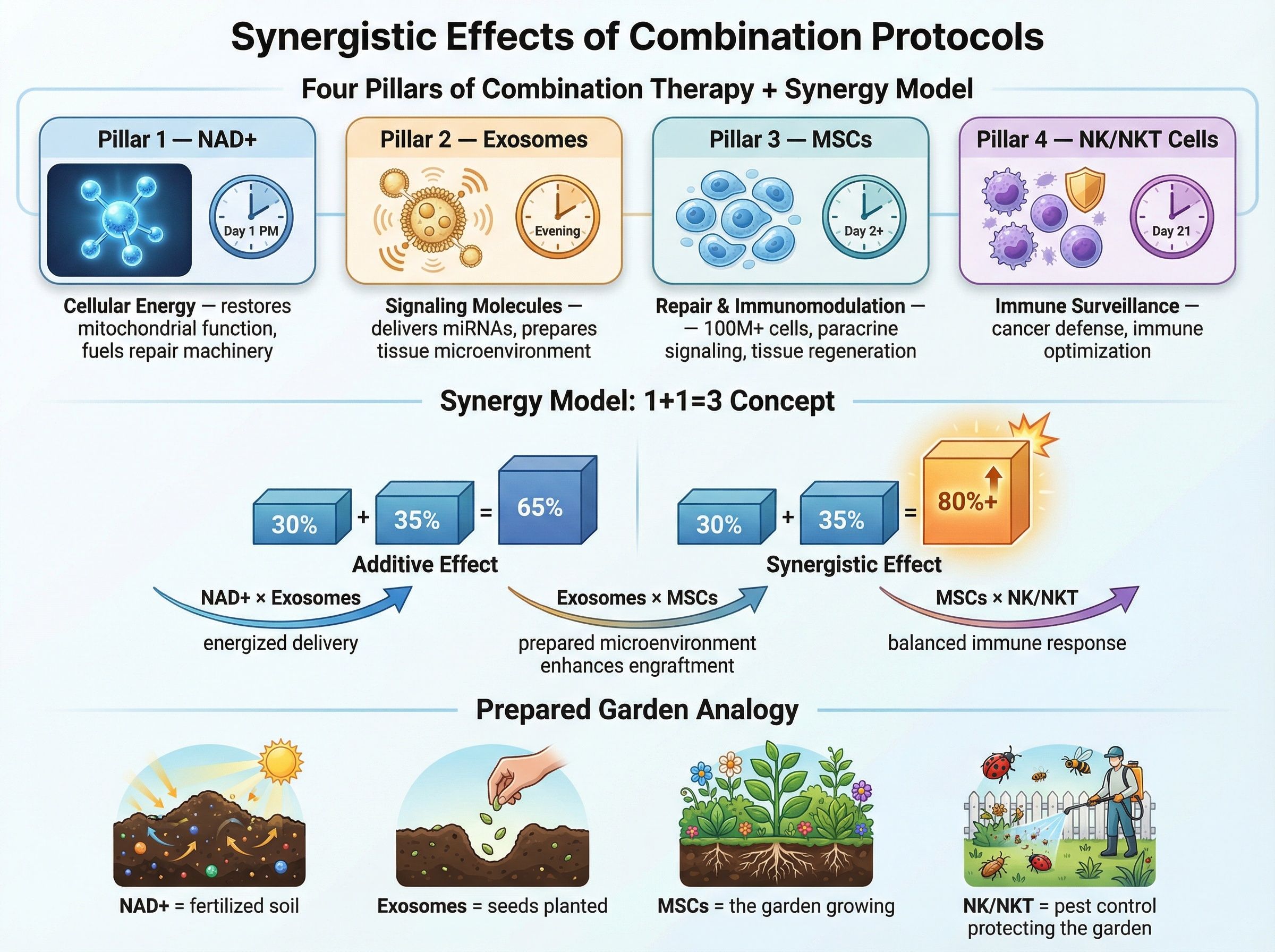 Diagram illustrating synergistic effects of combination protocols