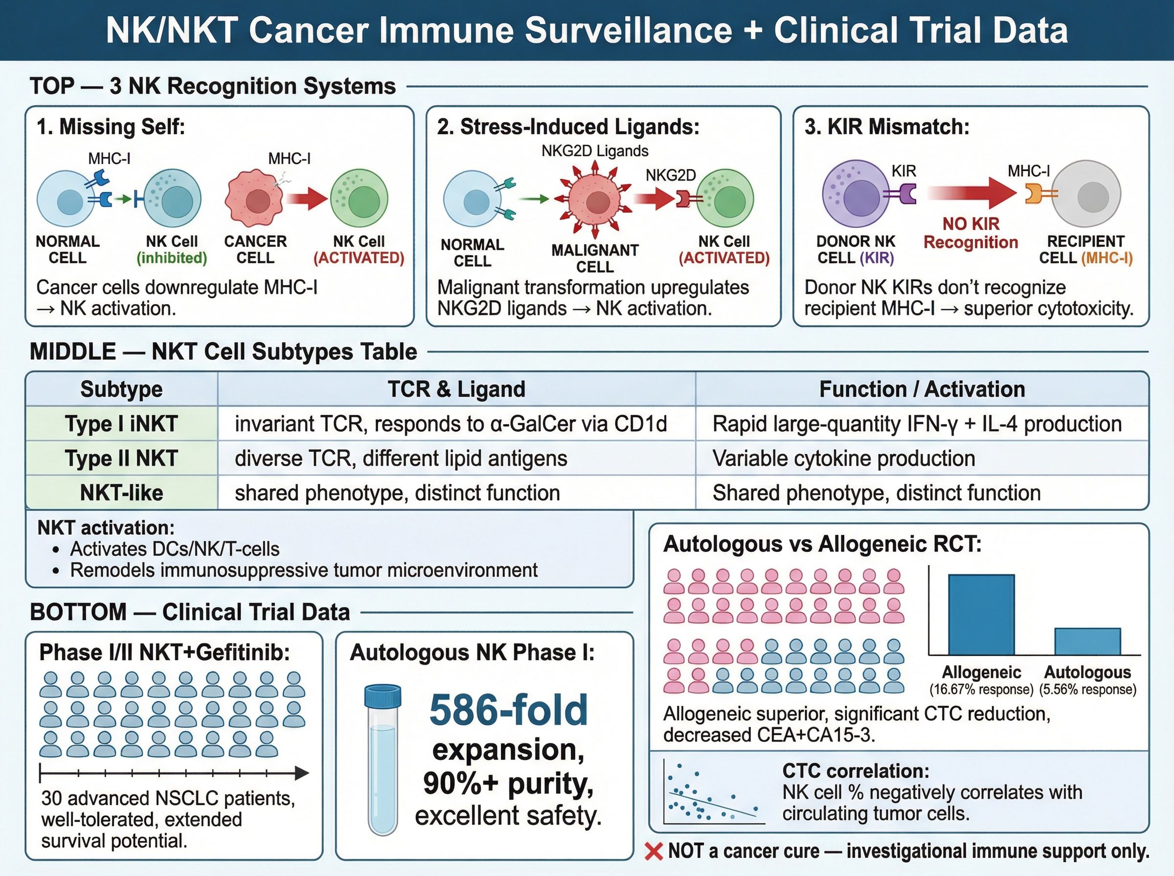Diagram of immune surveillance detecting abnormal cells