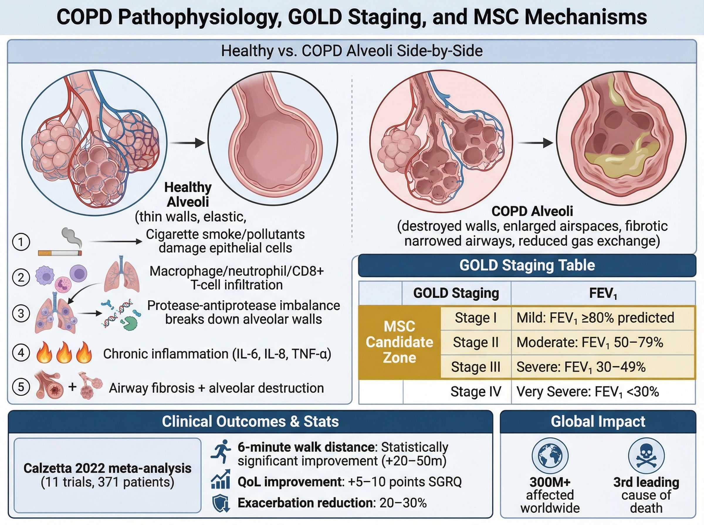 Comparison of healthy lung tissue versus COPD-affected lung