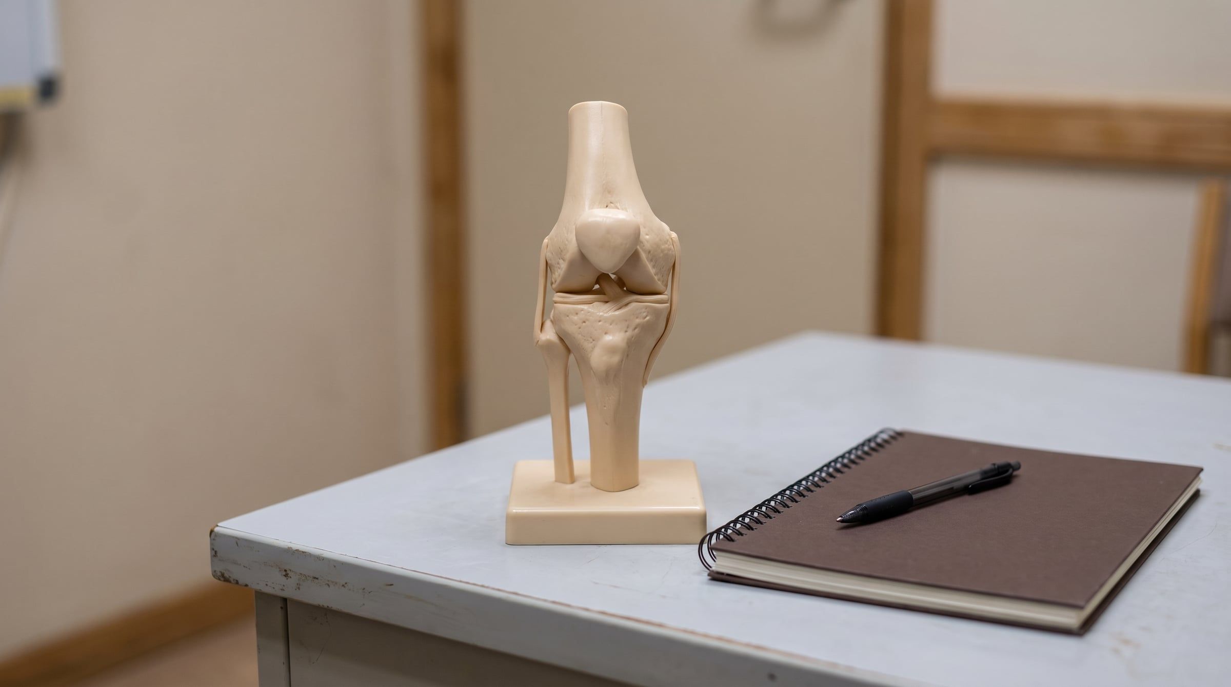 A knee joint model on a consulting-room desk beside a notebook and pen