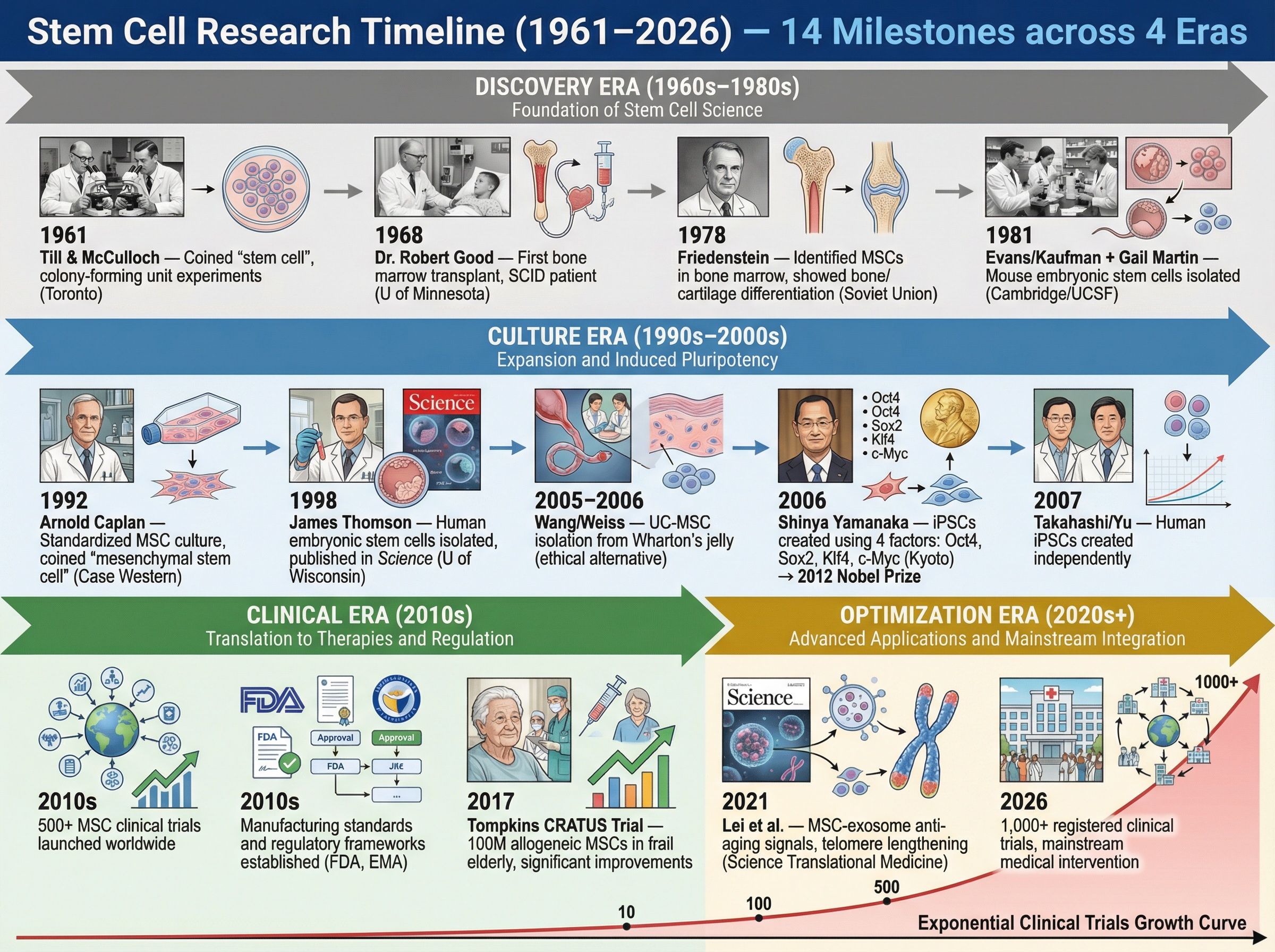 Key researchers and breakthroughs in stem cell science