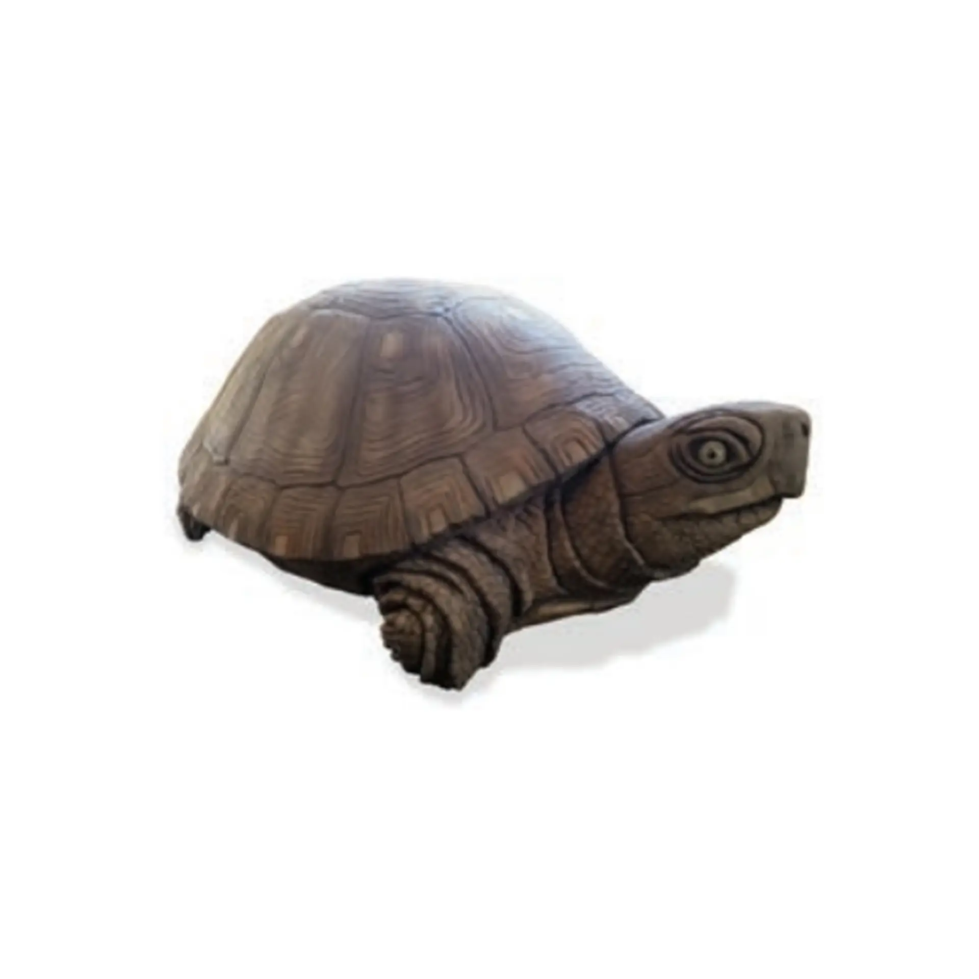 Box Turtle - Playground Equipment