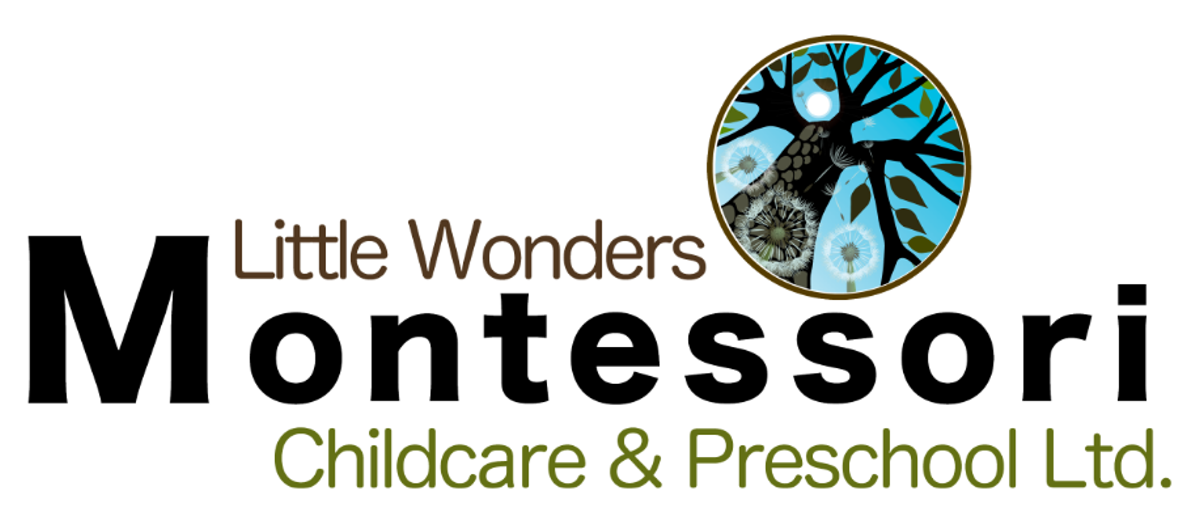 Little Wonders Montessori Childcare & Preschool