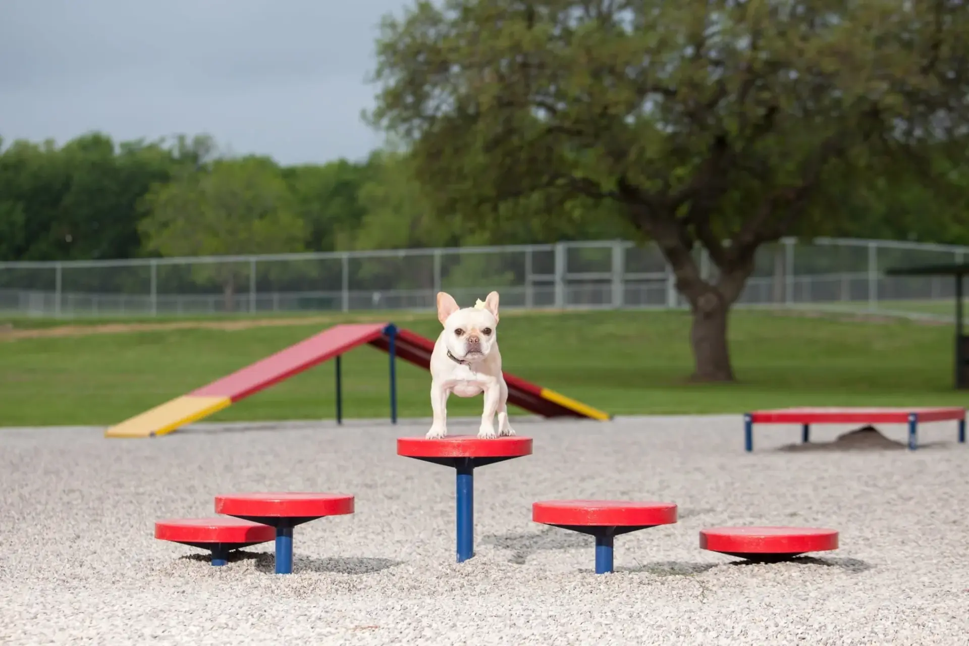 Site amenities: outdoor musical instruments and park furnishings