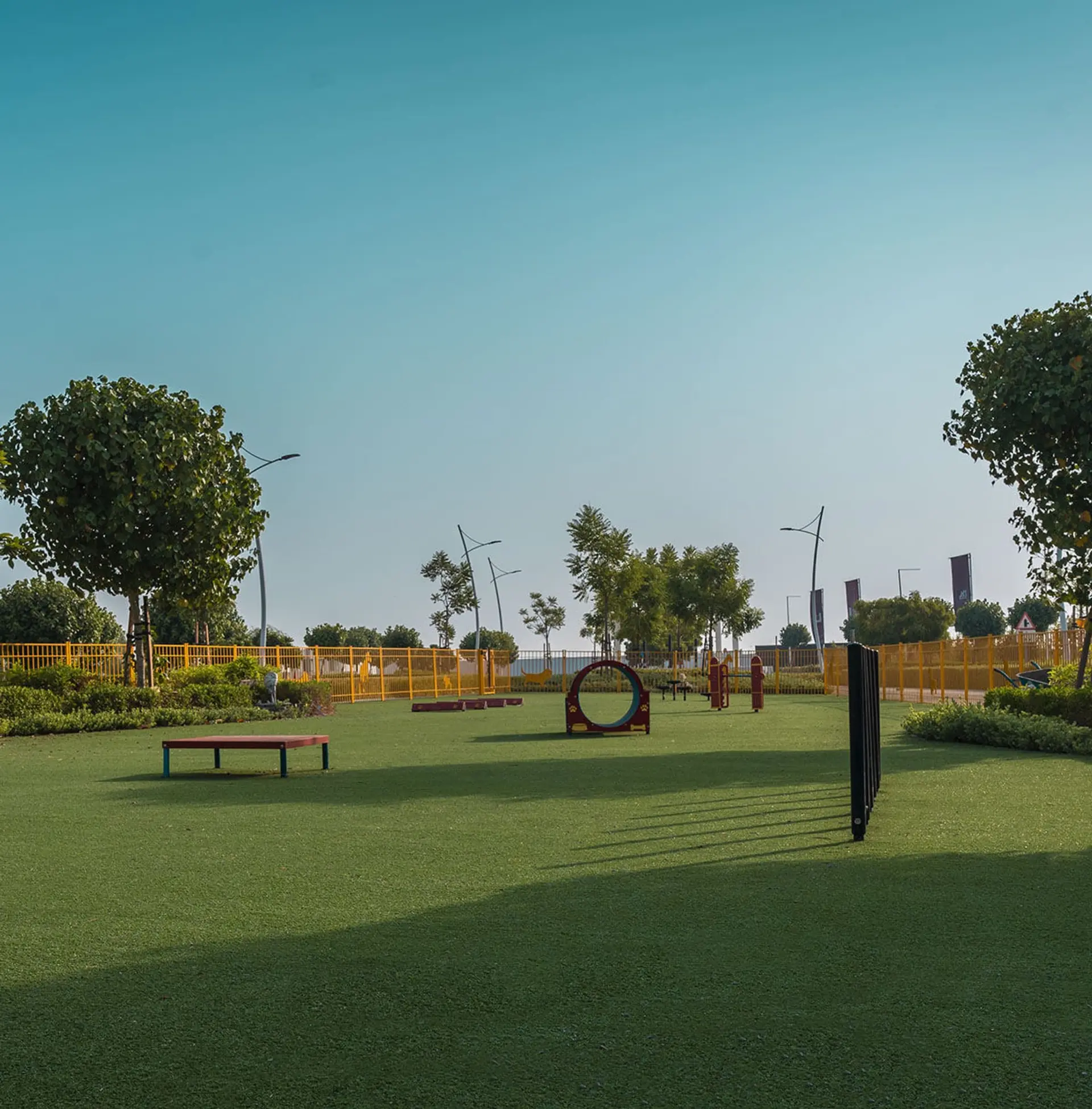 Dog Parks