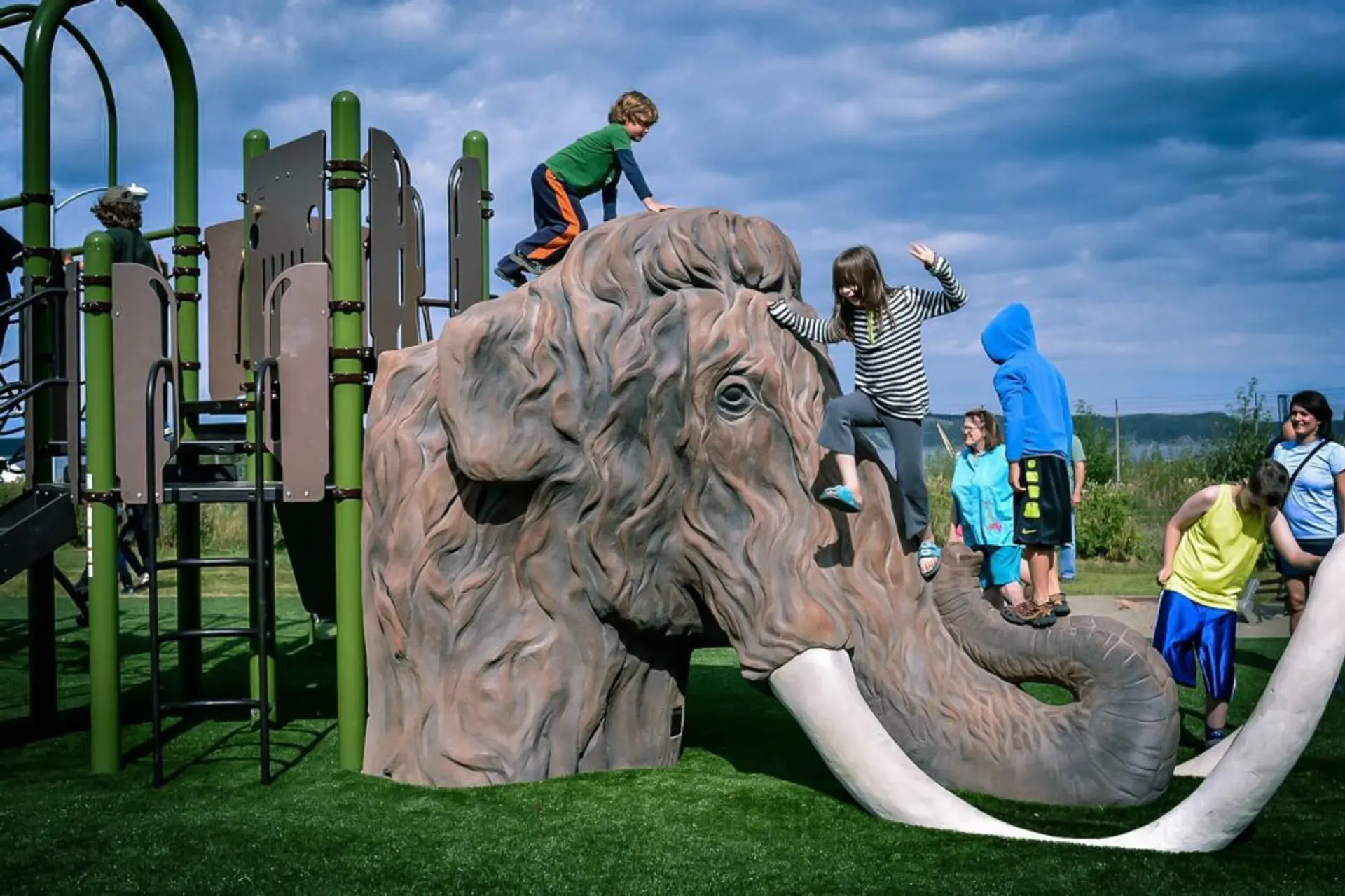 Natural Play Elements