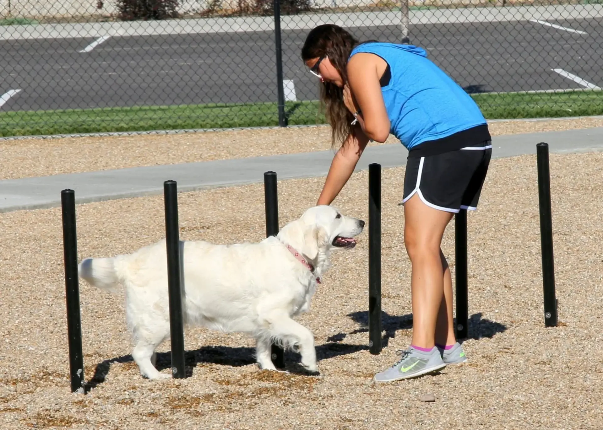 Dog park agility equipment installed by Westplay