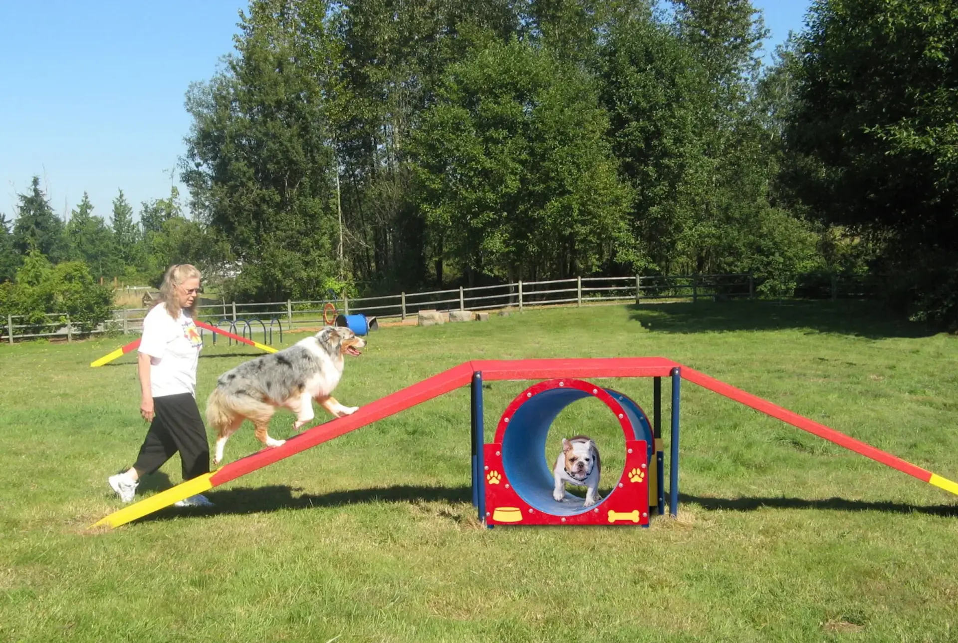 Dog park agility equipment installed by Westplay