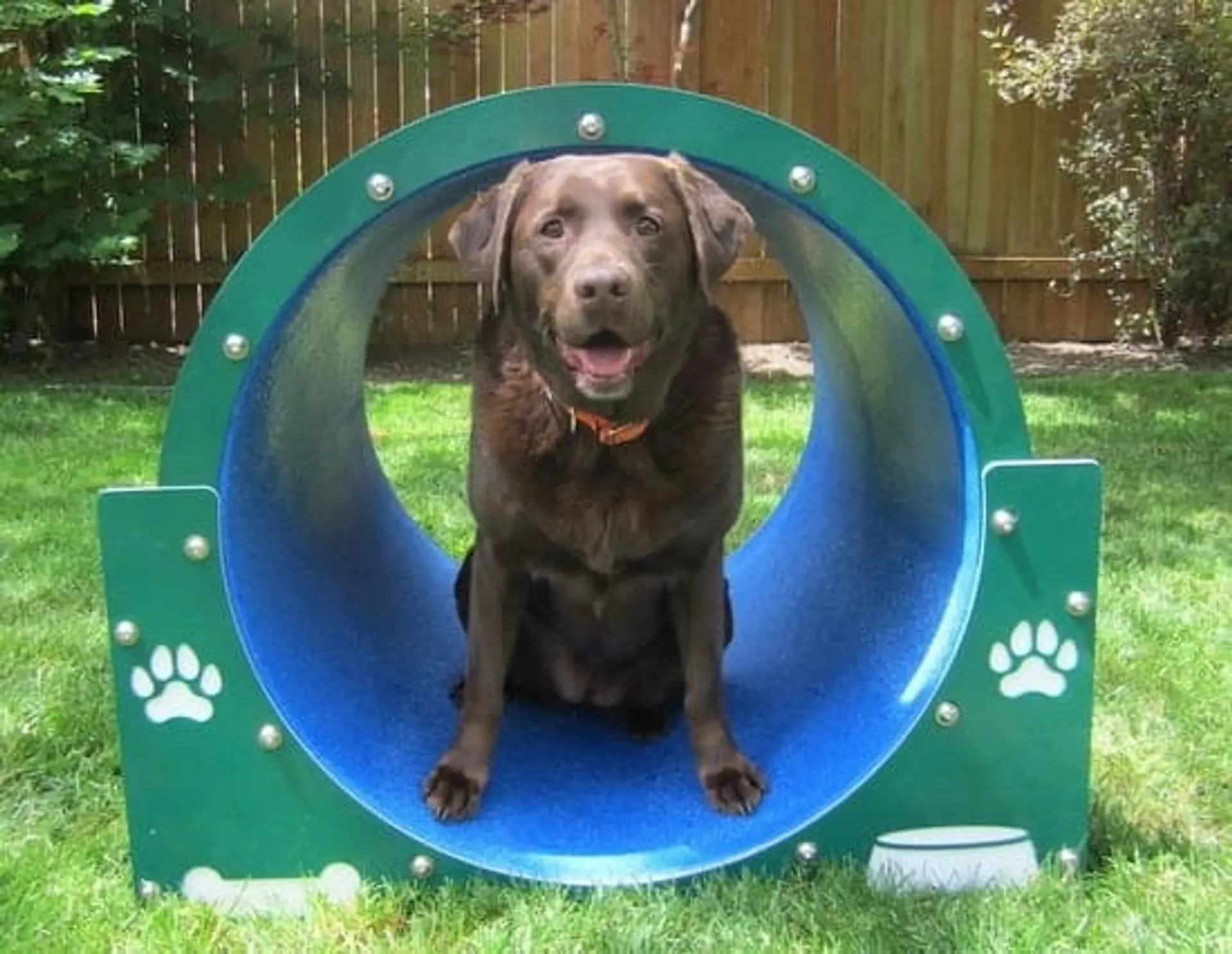 Bow Wow Barrel Green Tunnel — Dog Parks