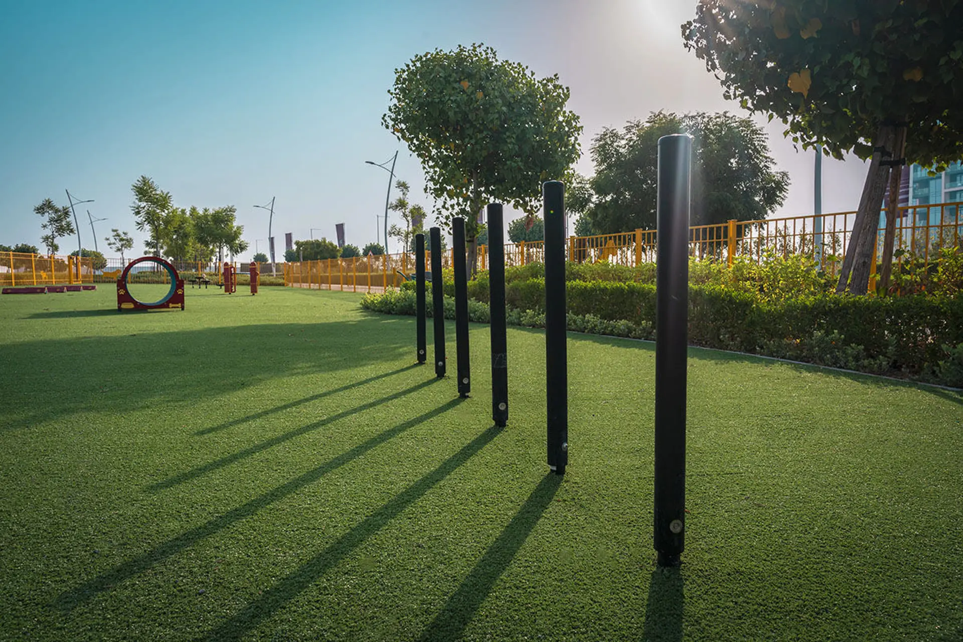 Weave Poles — Dog Parks