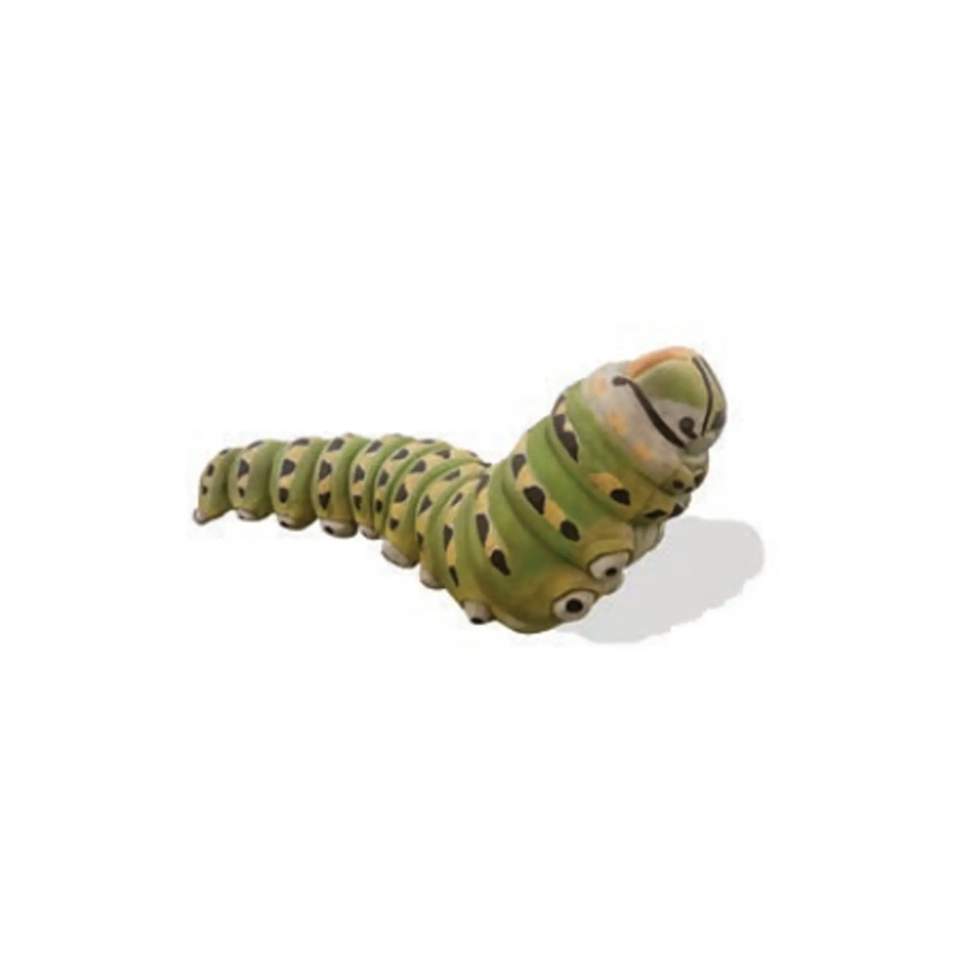 Caterpillar Anise - Playground Equipment