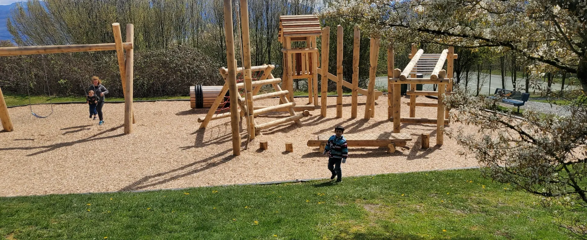 Lower Sumas Mountain Park installation