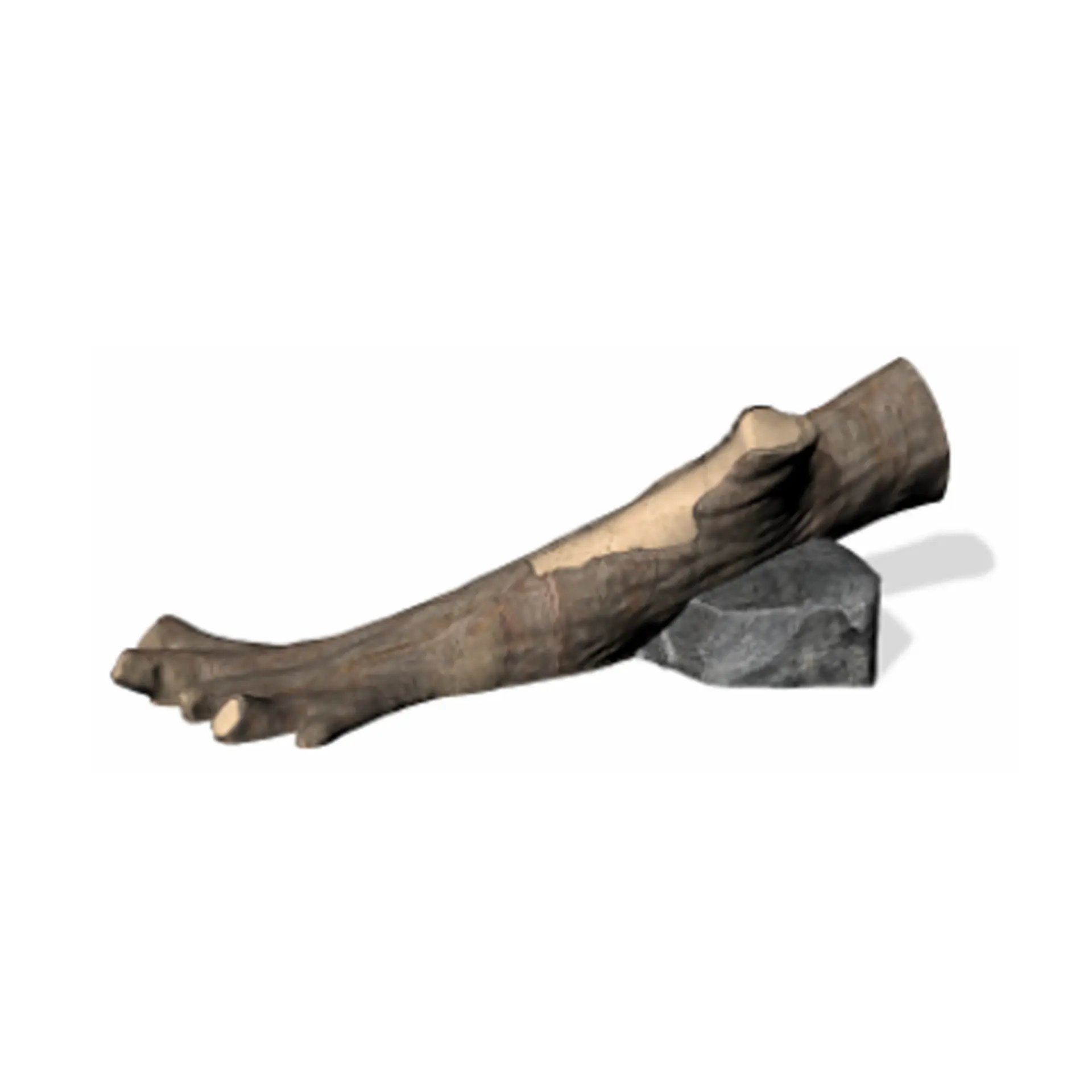Linkin’ Log - Playground Equipment