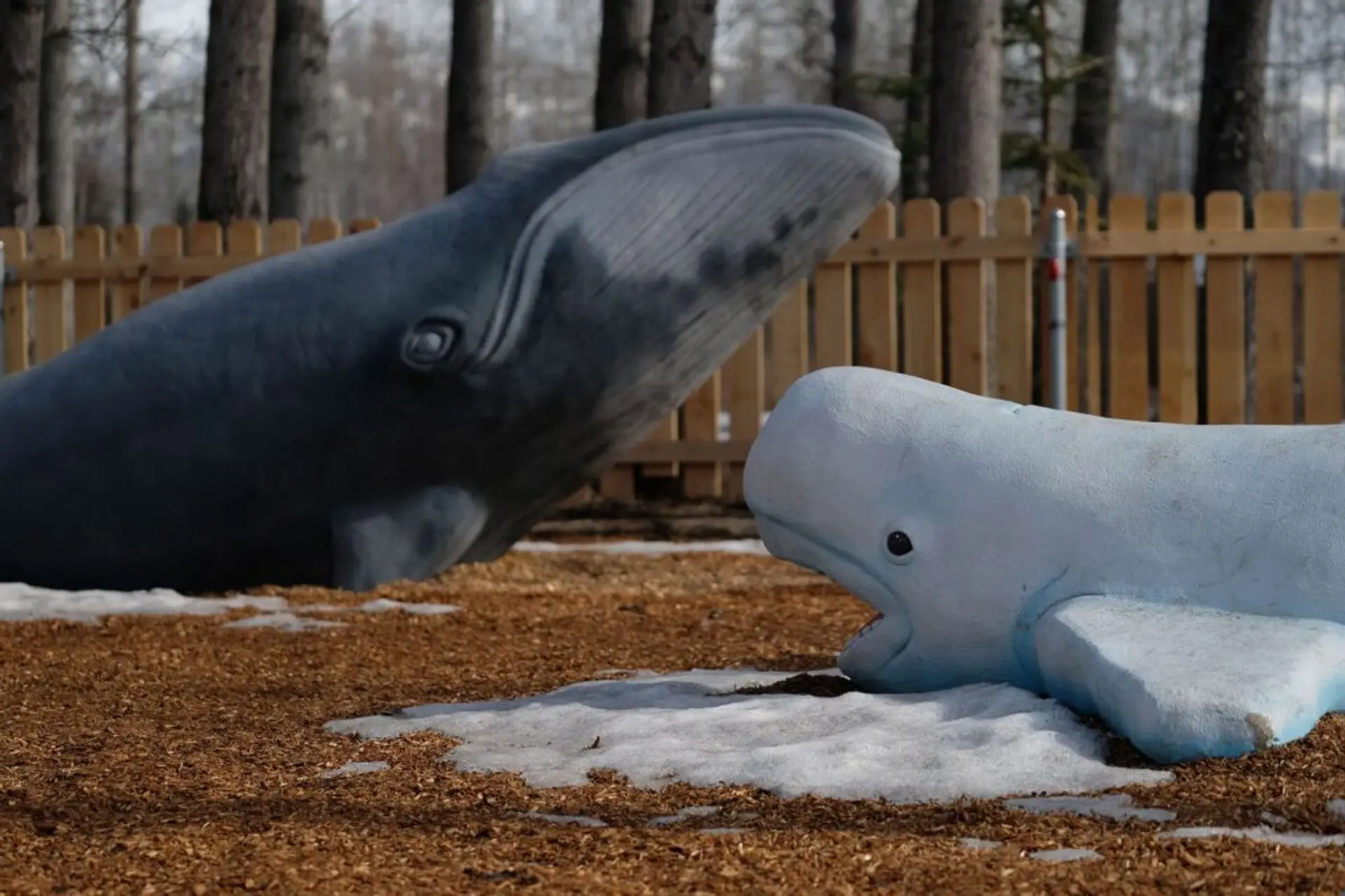 Critters — Natural Play Elements