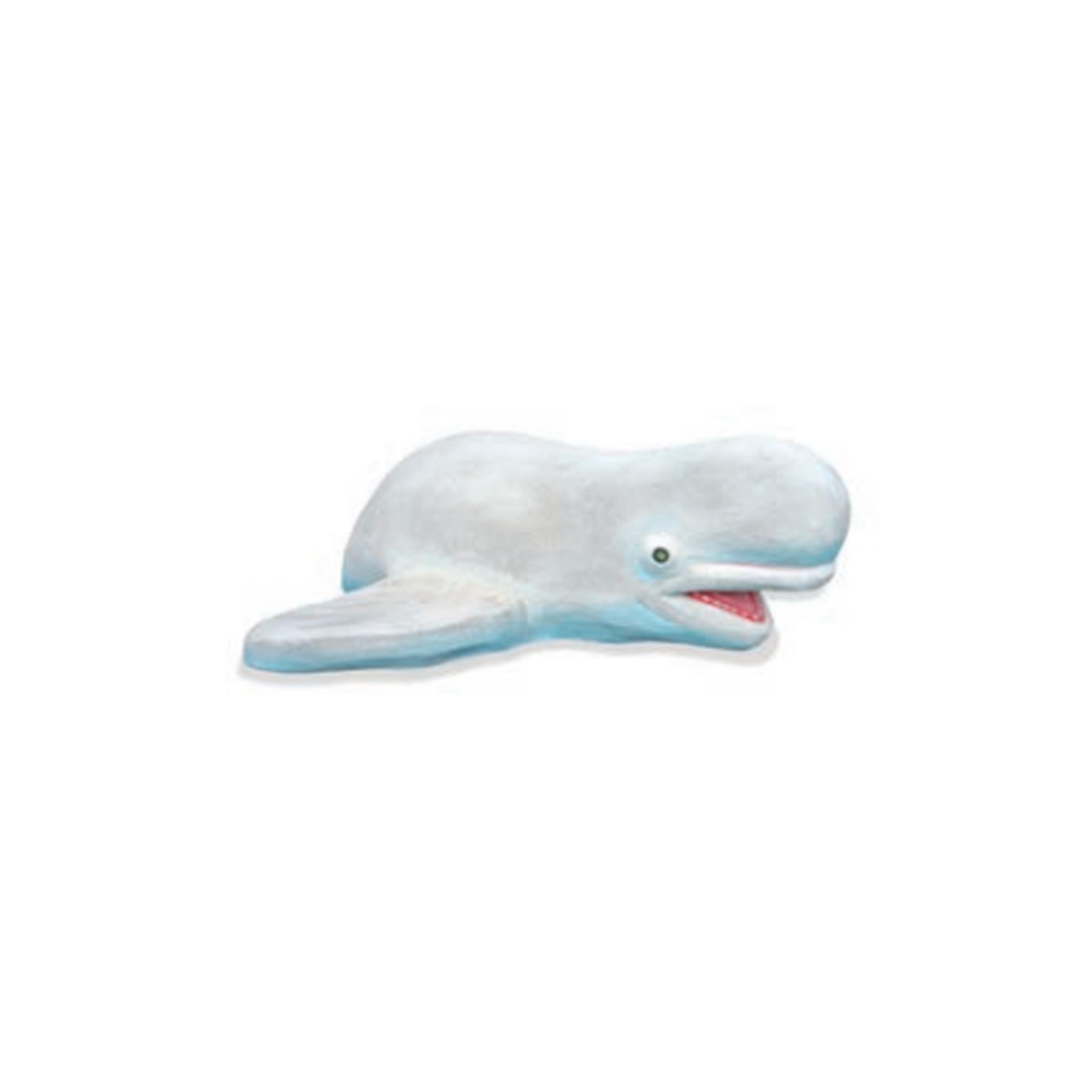 Beluga