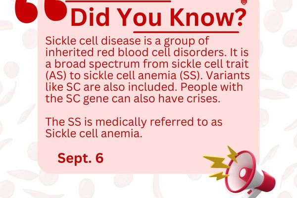 Did You Know