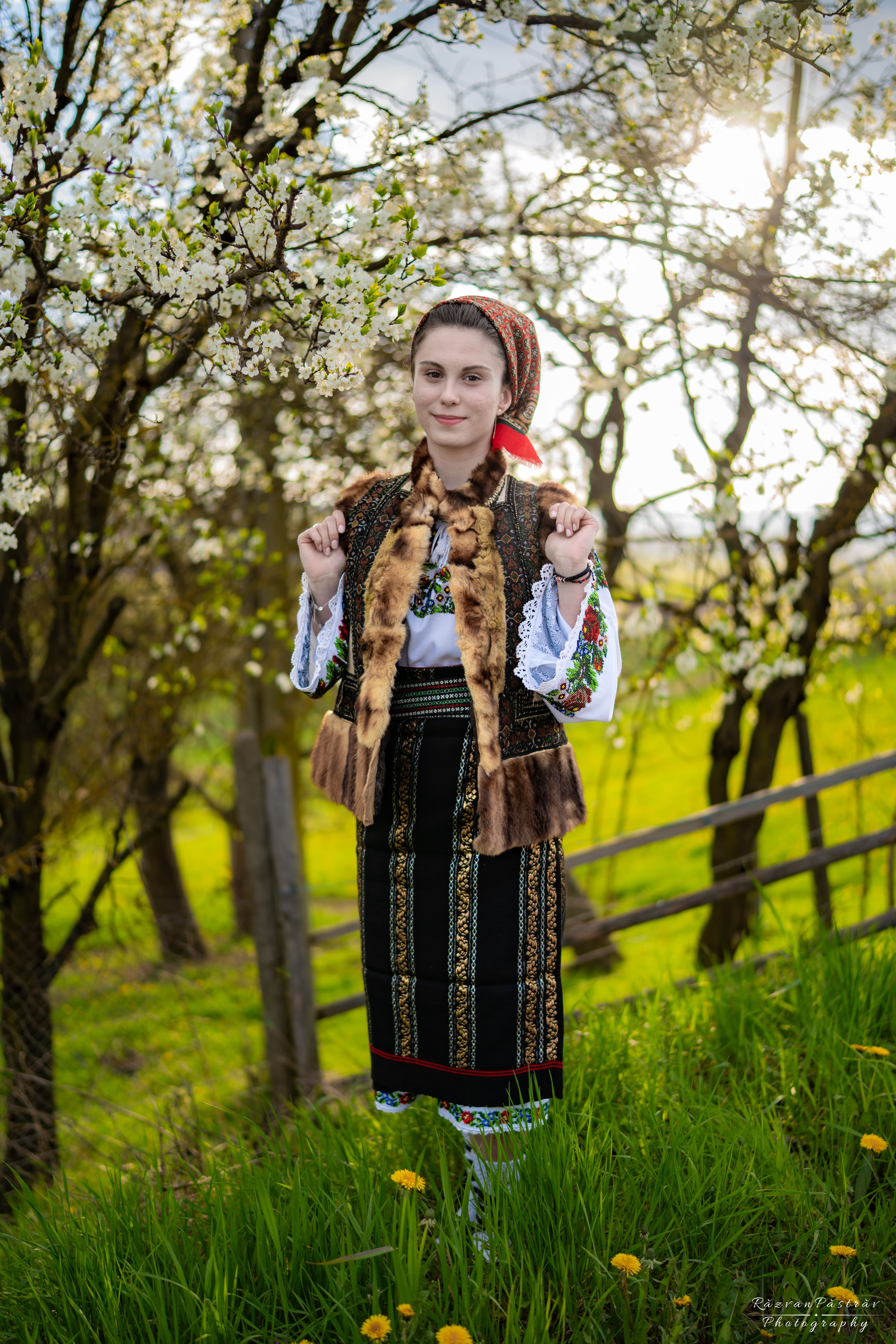 Poza de portofoliu