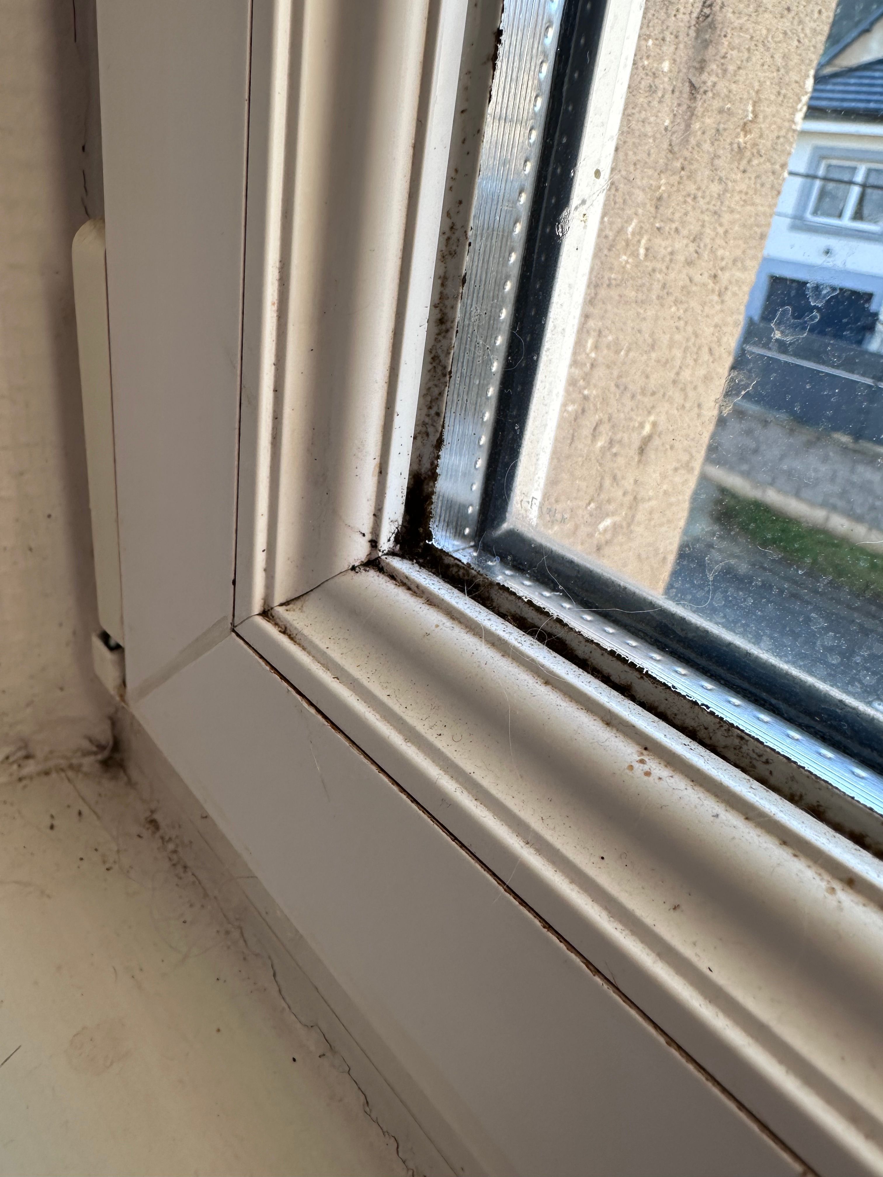 Joints de vitrage vétuste