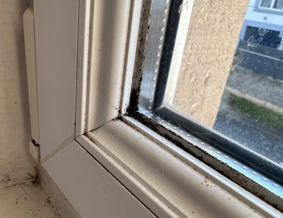 Joints de vitrage vétuste