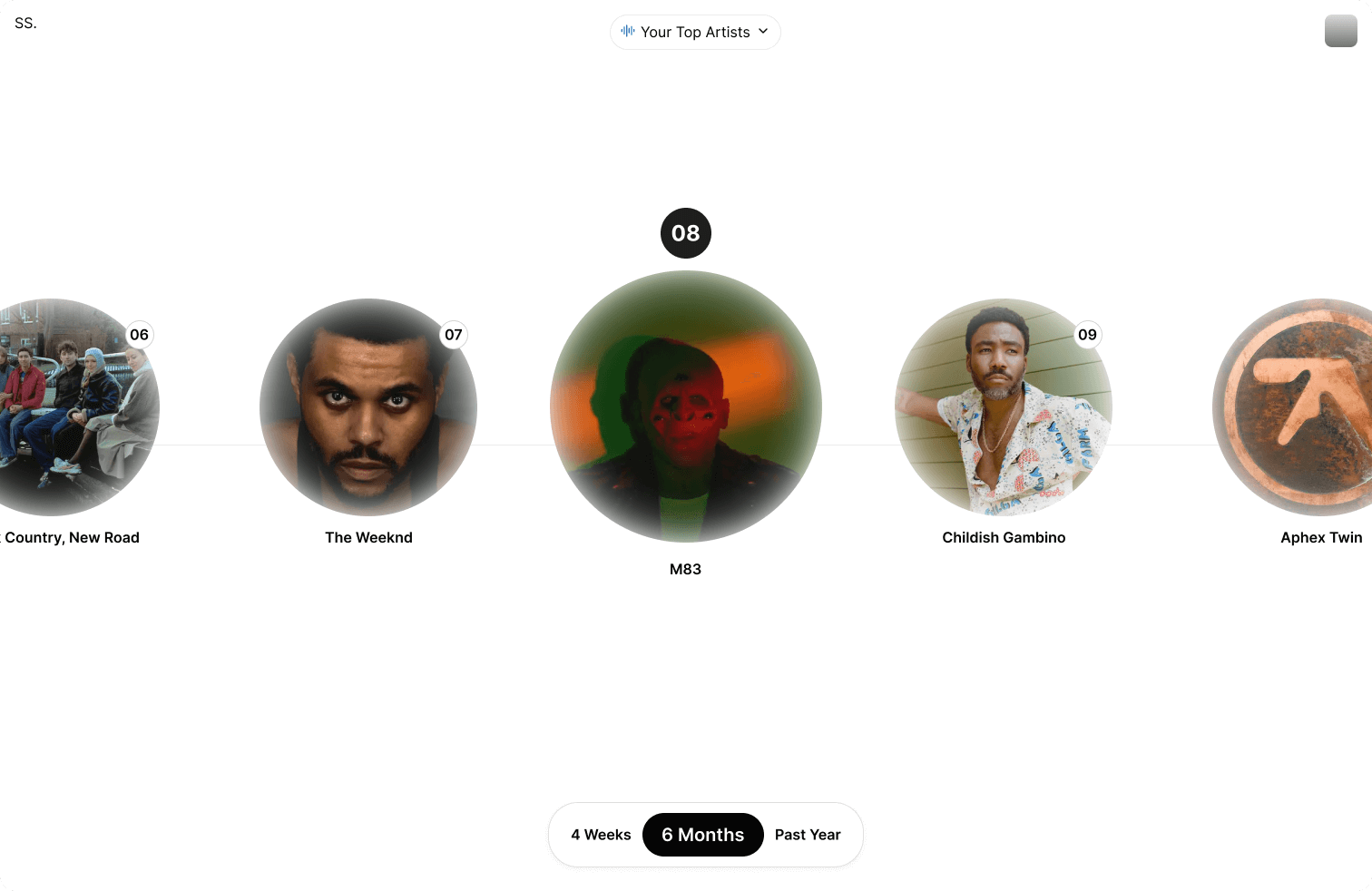 screenshot of a user's top artists on spotify page