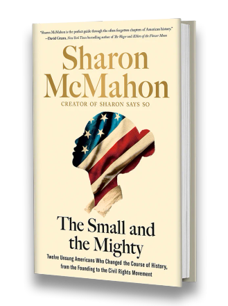 Sharon's NYT bestselling book, The small and the mighty hardbook cover depicting a woman's head silhouetted by the American flag