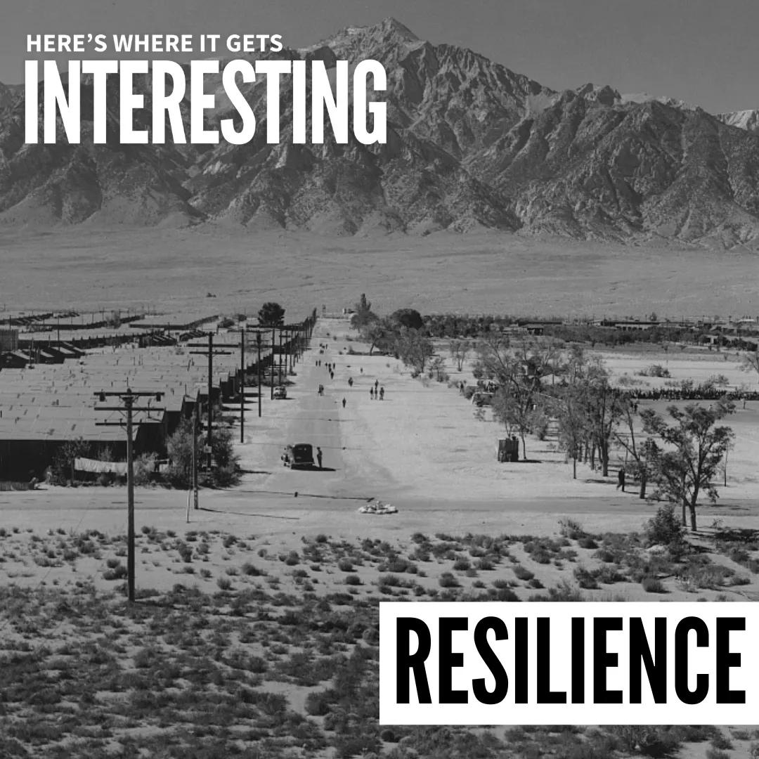 Podcast tile for Resilience: Your Questions Answered