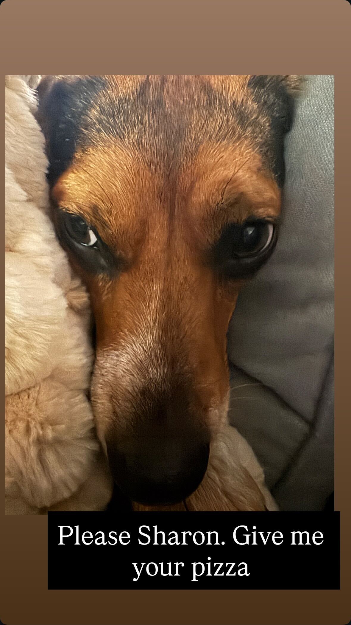 Sharon sharing her dog Ginny