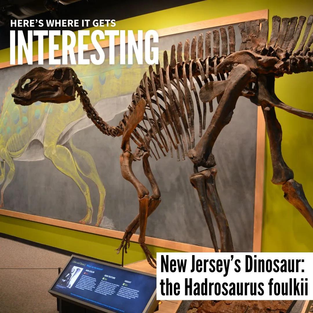 Podcast tile for New Jersey’s Dinosaur: the Hadrosaurus foulkii