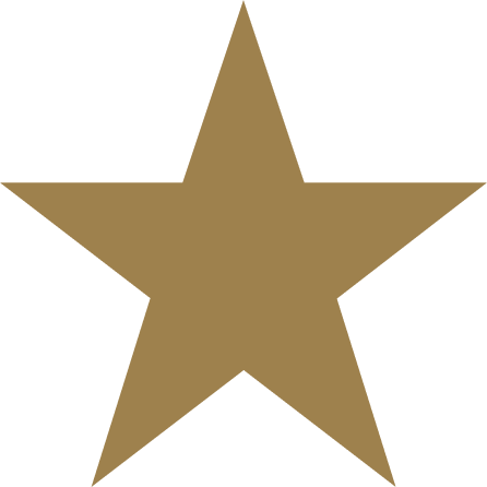 star icon