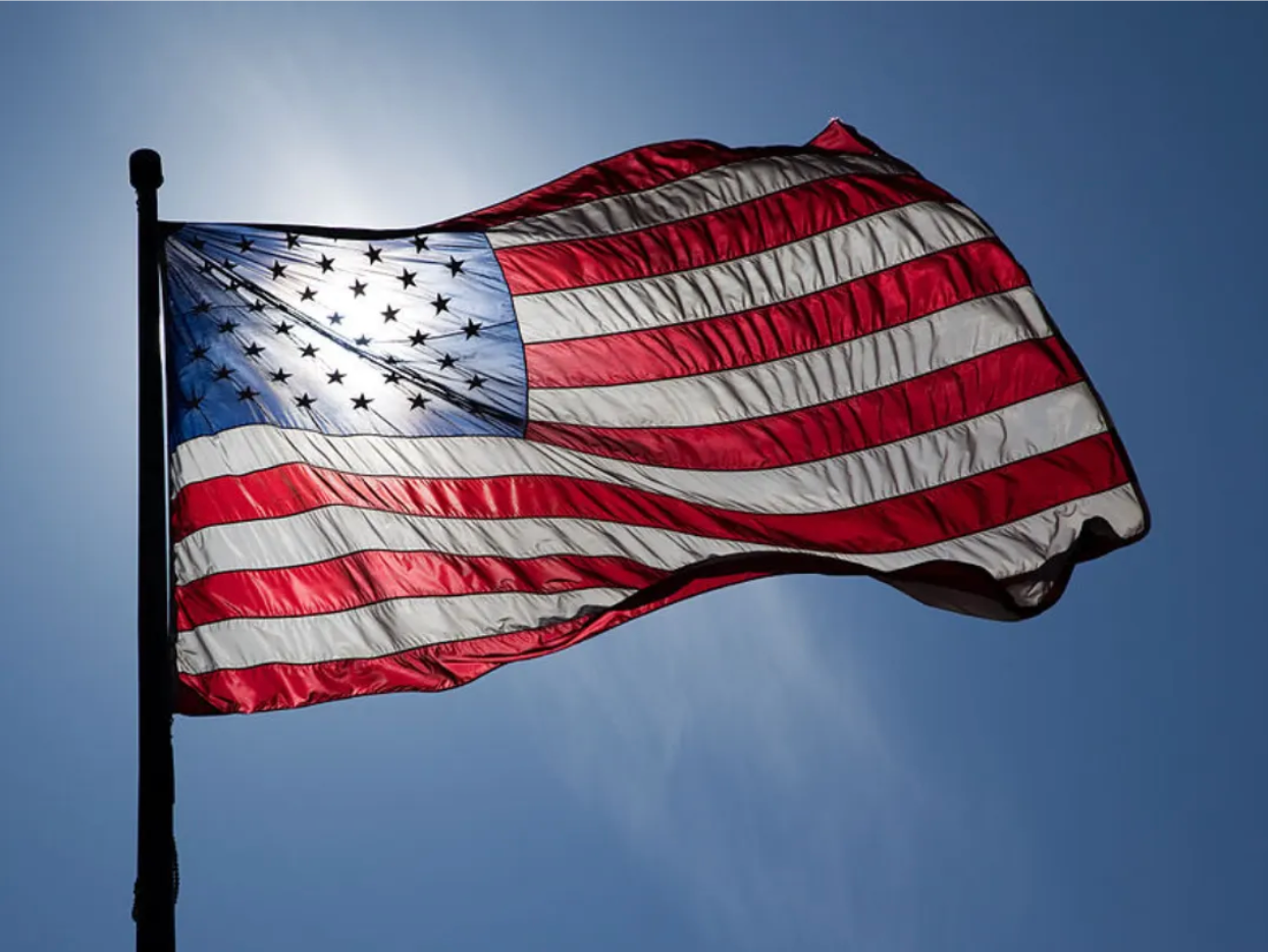 Illustration for What Does It Mean to be a Patriot?