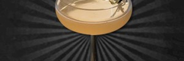 Grapefruit Rosemary Gin Sour