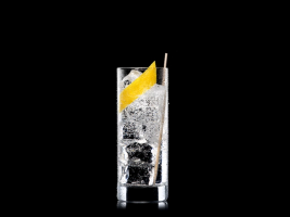 Lufthavn Gin Tonic