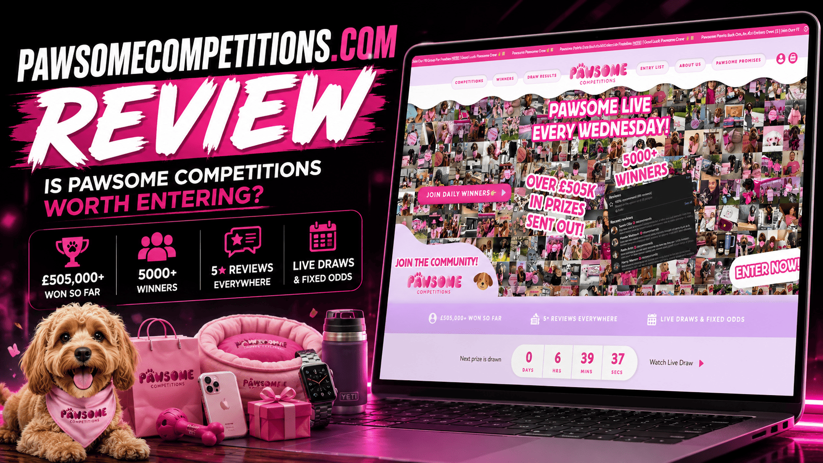 Pawsome Competitions Review