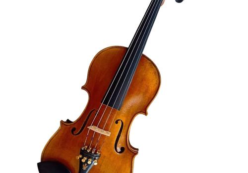 Cadu Violin CD-05i