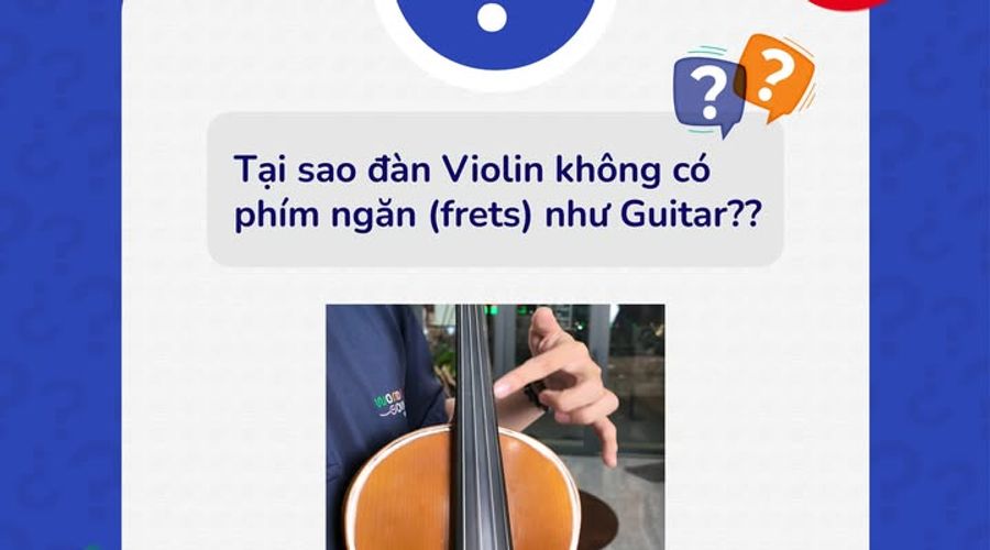 Tại sao đàn Violin không có phím bấm như Guitar?
