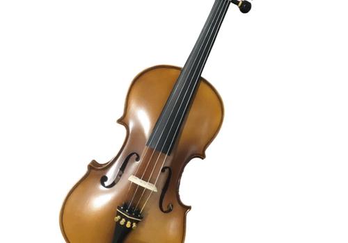 Cadu Violin CD-01i