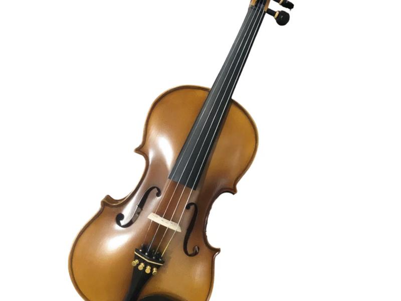 Cadu Violin CD-01i
