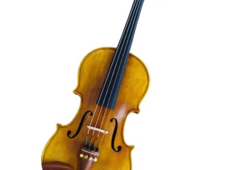 Cadu Violin CD-03i
