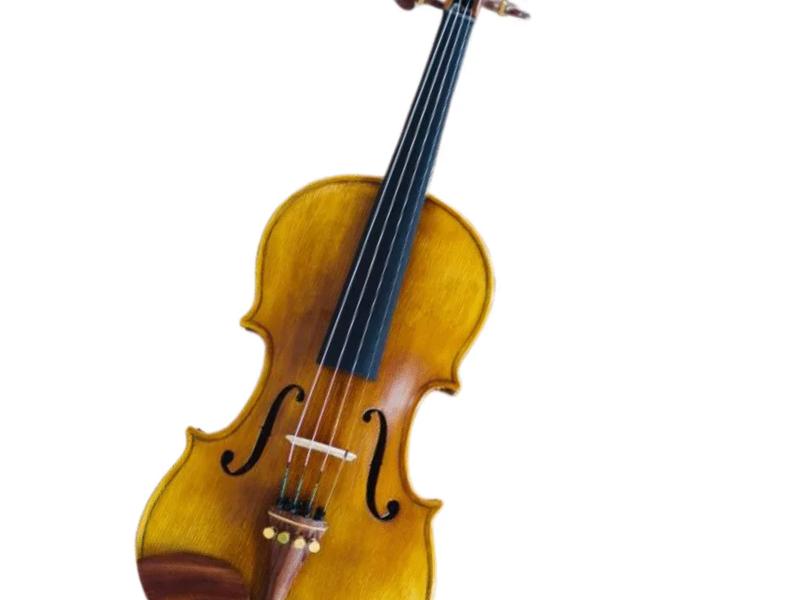Cadu Violin CD-03i